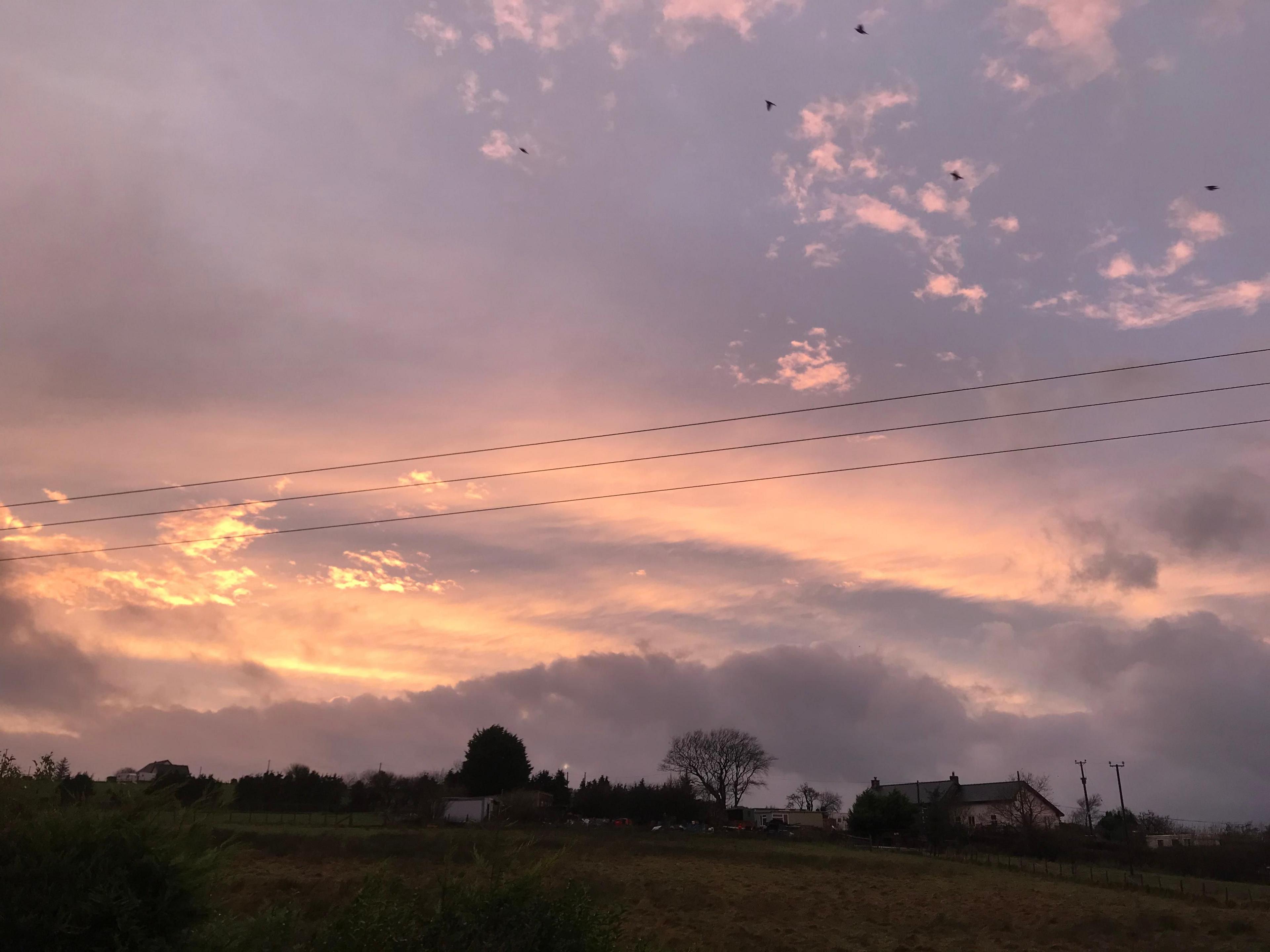 Pink sky in Llangwyryfon