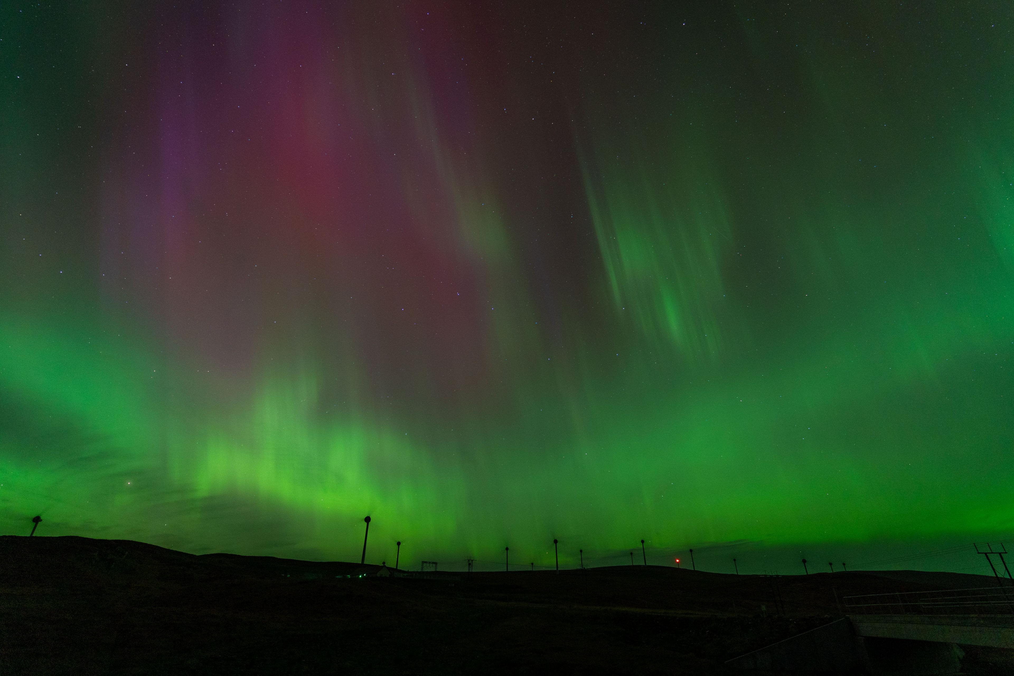 The Northern lights cast green and purple light over windmills and trees