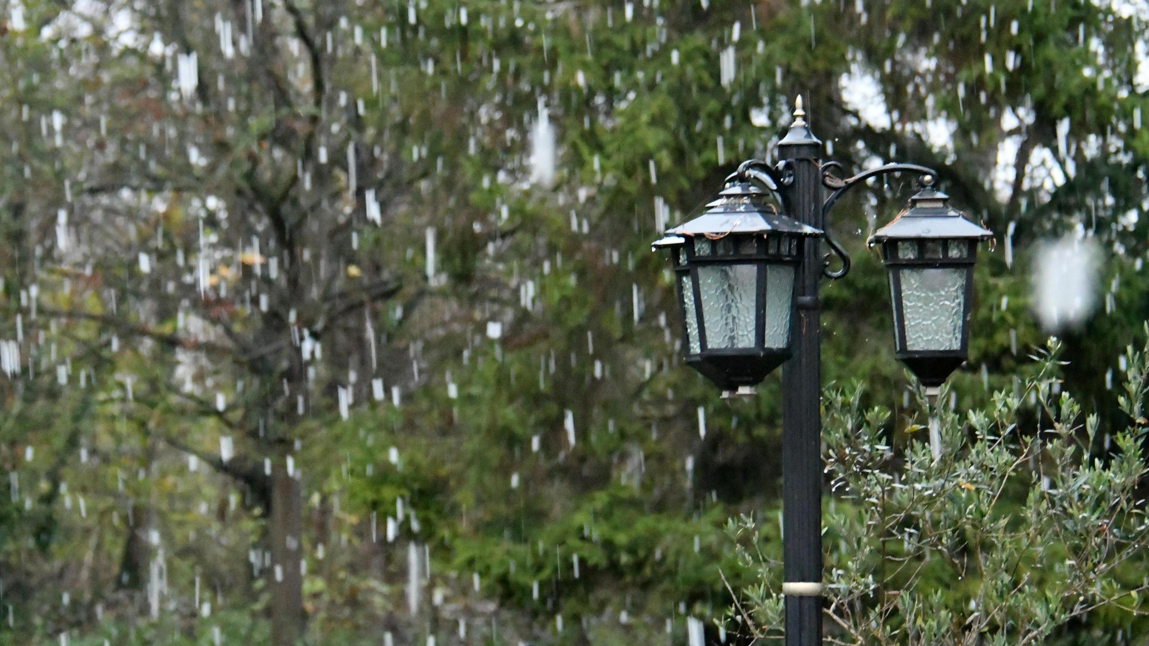 Snow falling with frosted garden lamps in the background and trees.