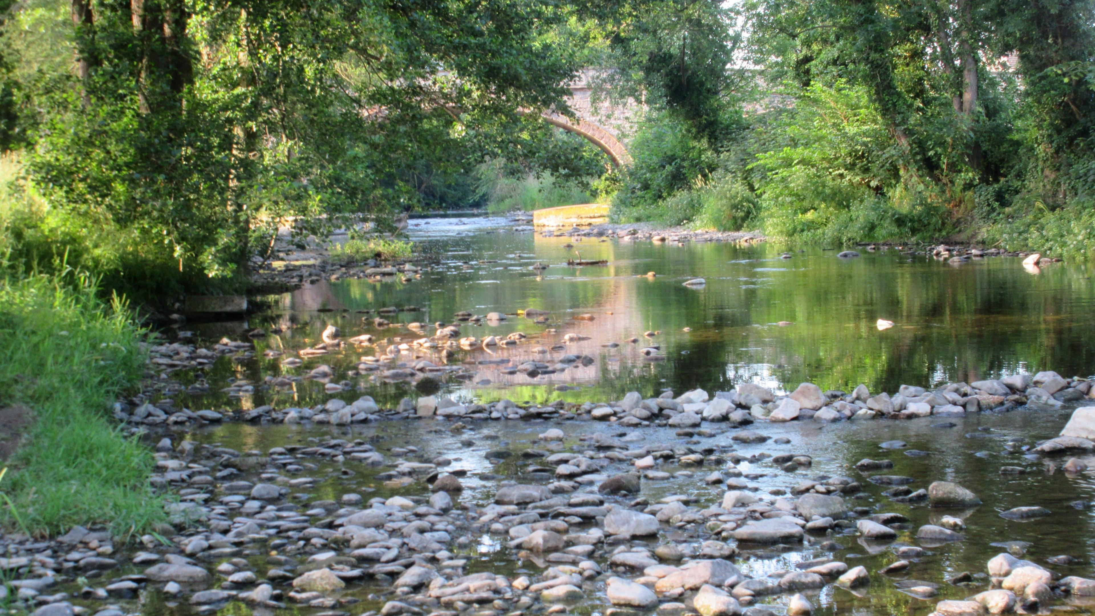 Afon Elwy