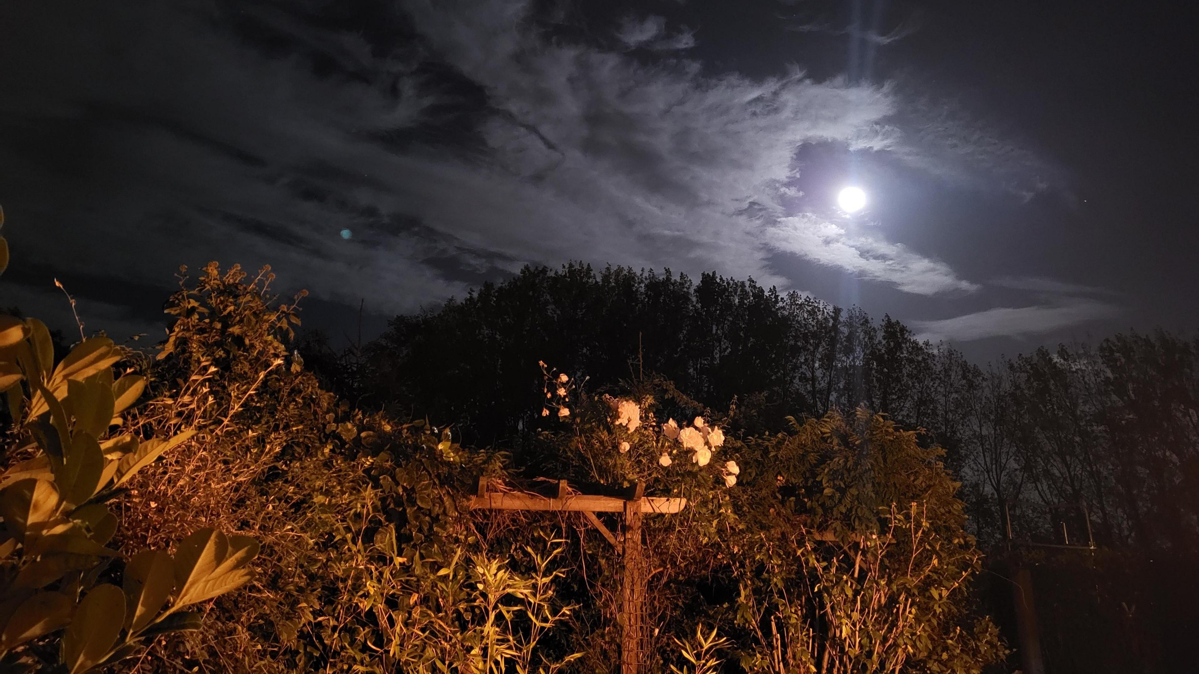 A bright white full Moon over a garden with lit plants, a wooden structure, and silhouetted trees under a cloudy night sky. The moon peeks through broken clouds.