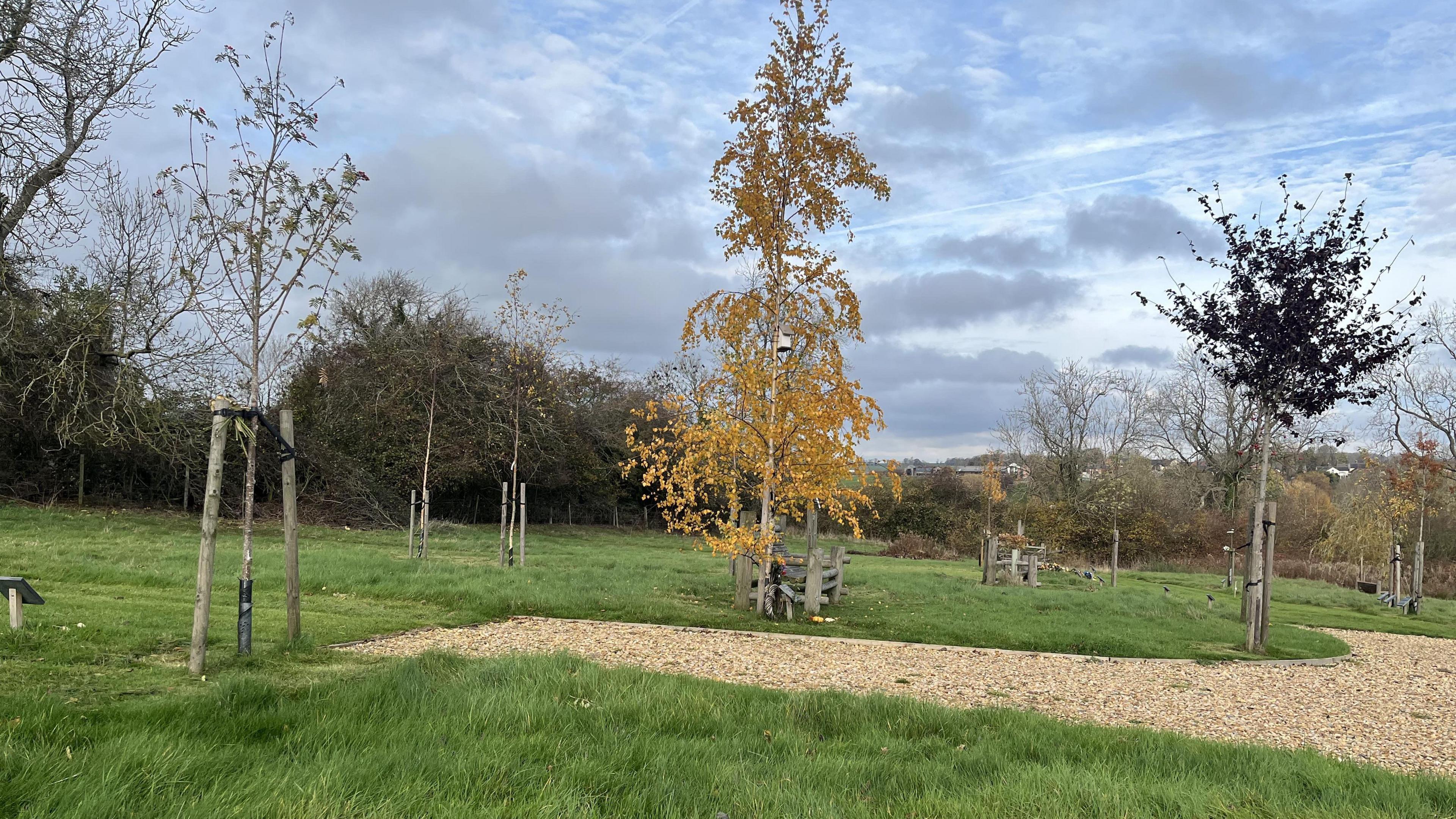 View across burial ground, showing grassland with young trees but no memorials