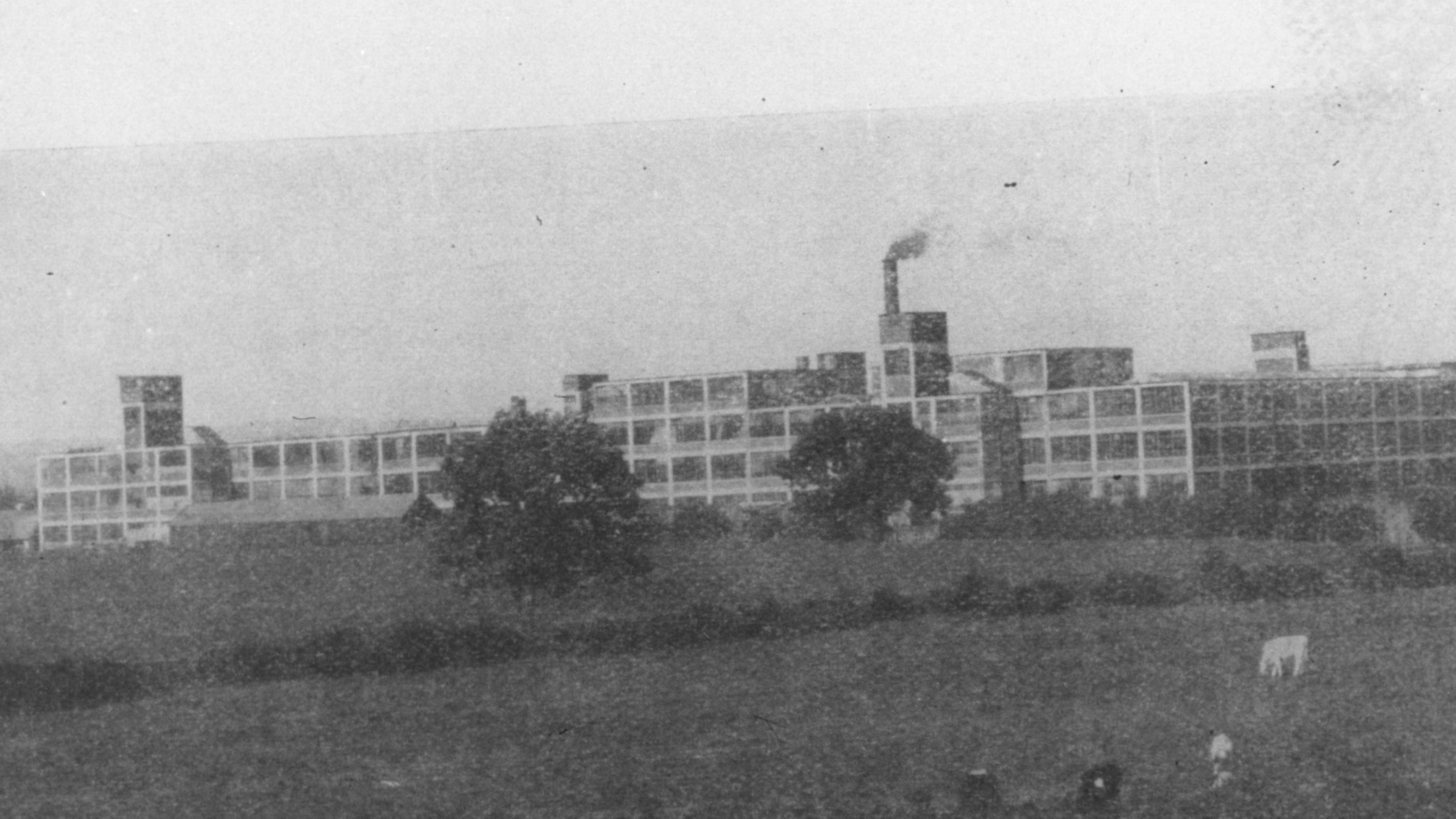 A side view in black and white of a sprawling factory site wiht a few animals grazing on grass in the foreground