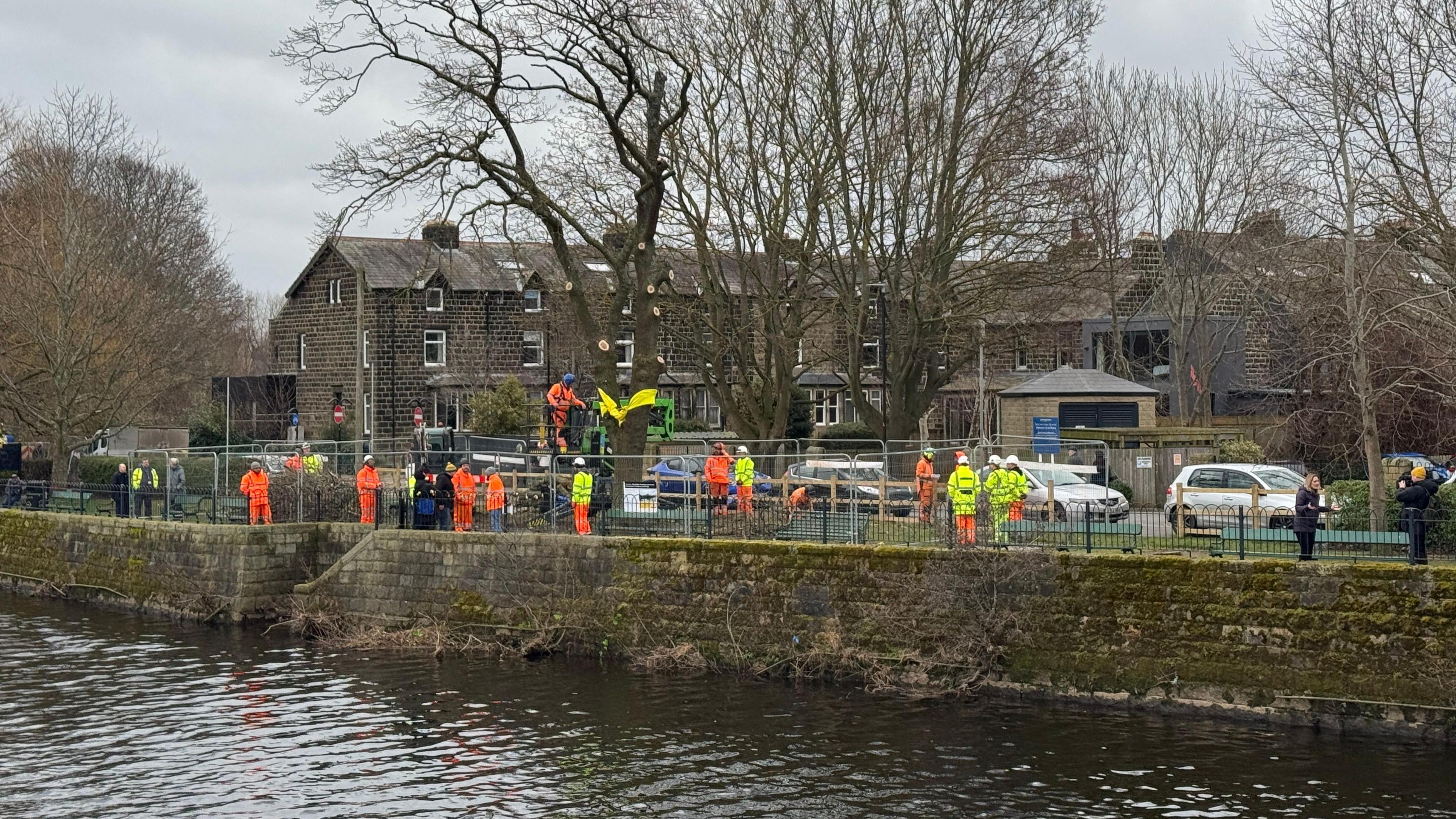 Contractors in luminous orange and yellow overalls stand around a leafless tree next to some wate