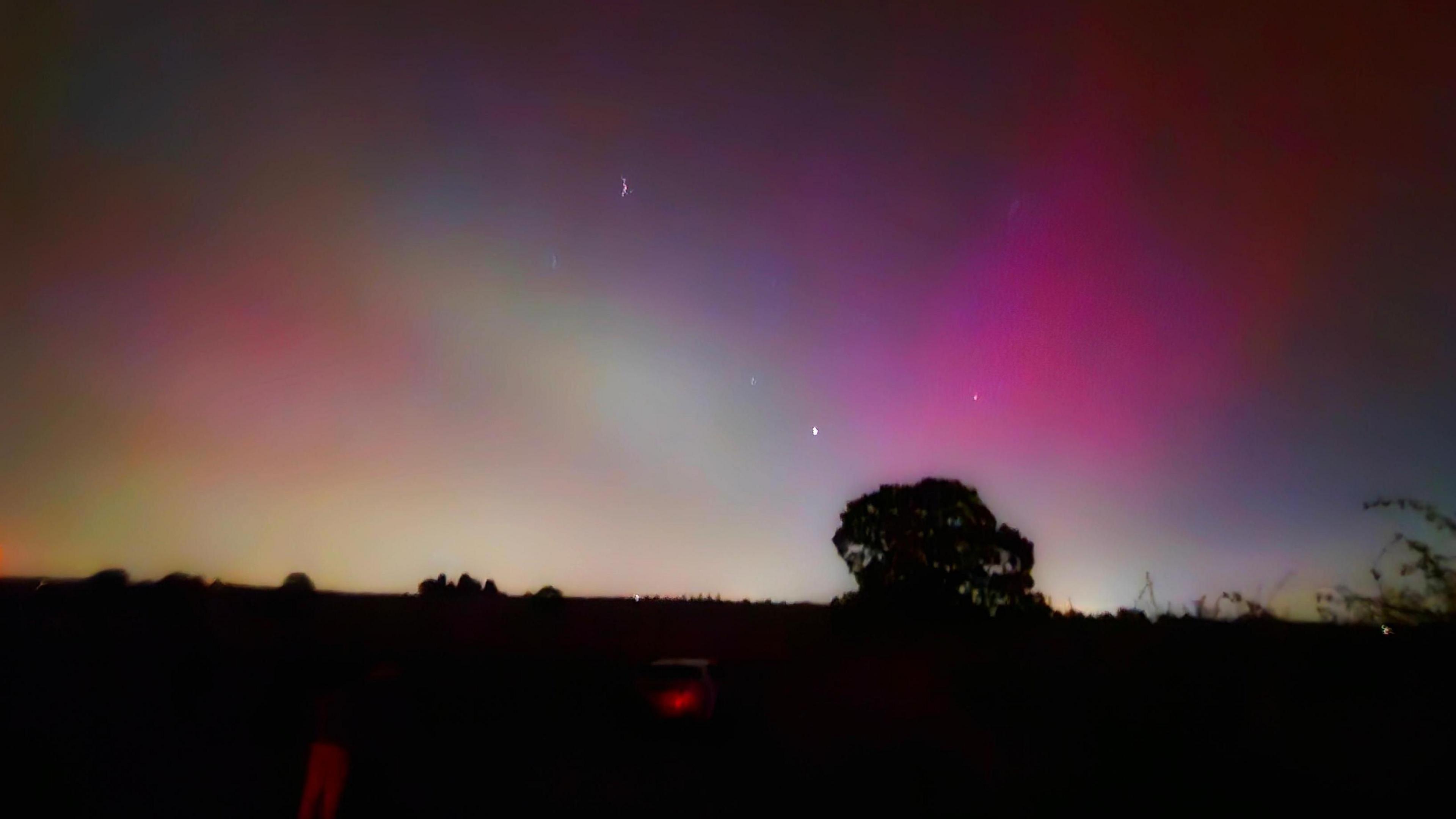 Red, purple and yellow lights in the sky seem to converge on a tree rtowards the bottom of the photo