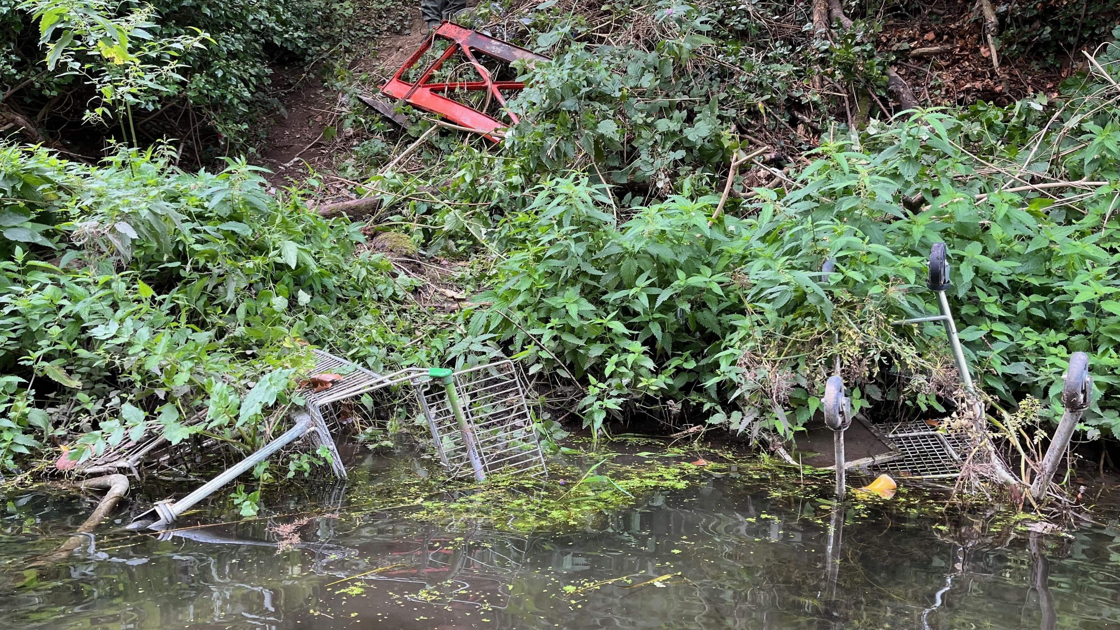 Trolleys abandoned in Canterbury's River Stour.