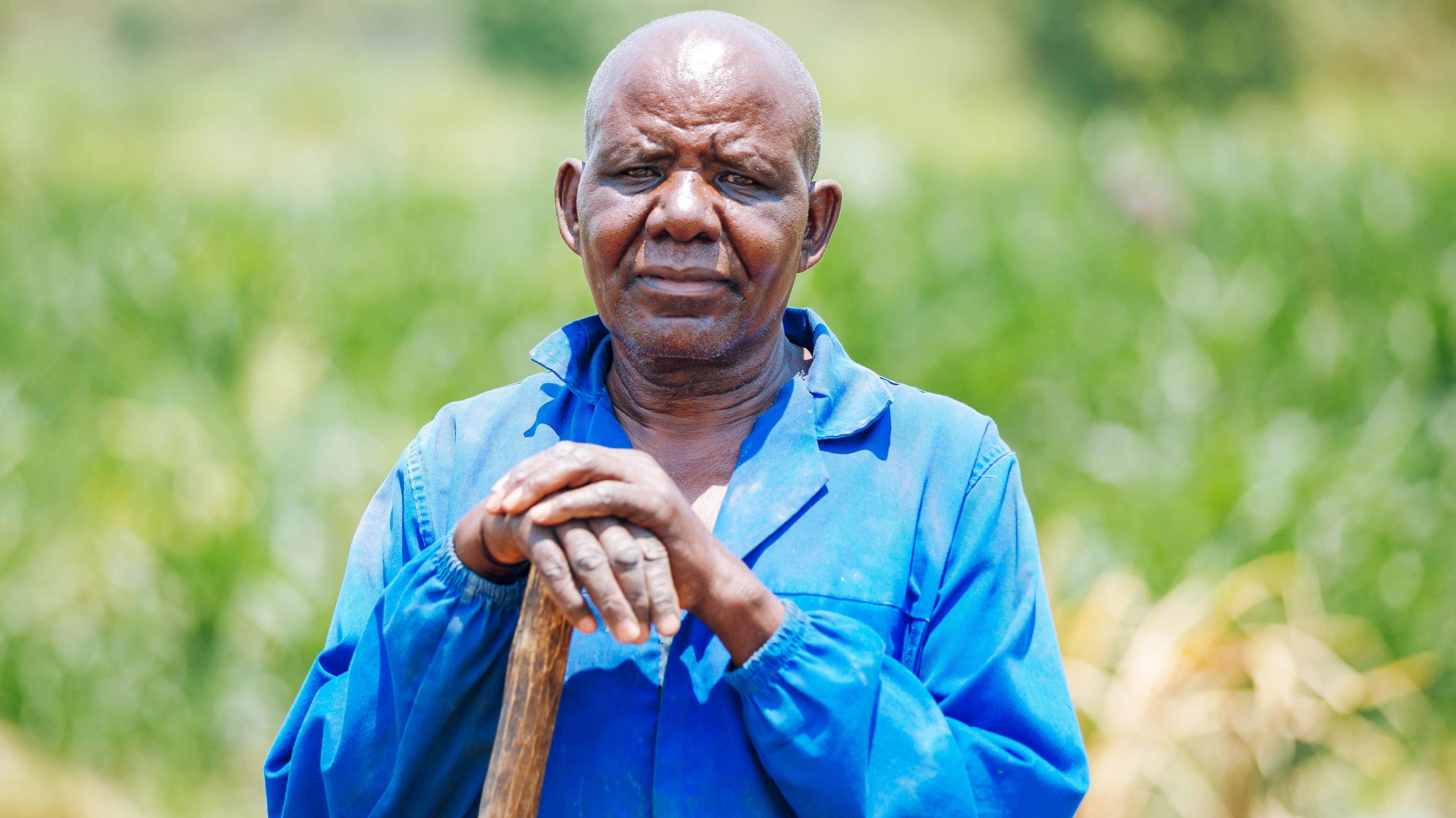 A portrait of Frederick Bwalya, 73, a farmer in Twalima village, standing against a sunny and grassy backdrop. He looks pensively into the camera, resting his hand on a wooden stick and is wearing a bright blue shirt jacket. 
