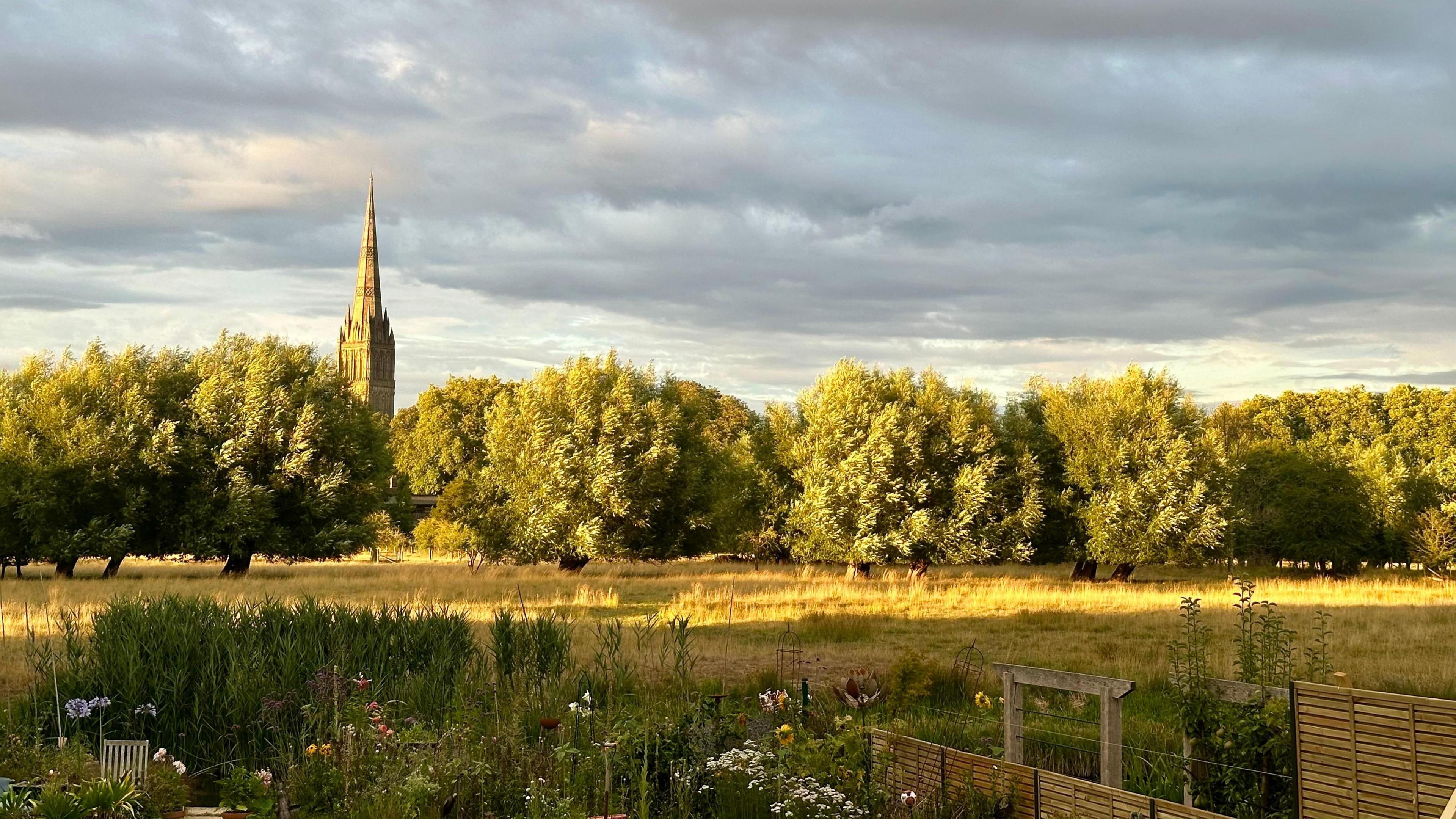 The tower of Salisbury cathedral bathed in the light of a summer dusk with a garden in the foreground and a line of trees partially obscuring the tower.

