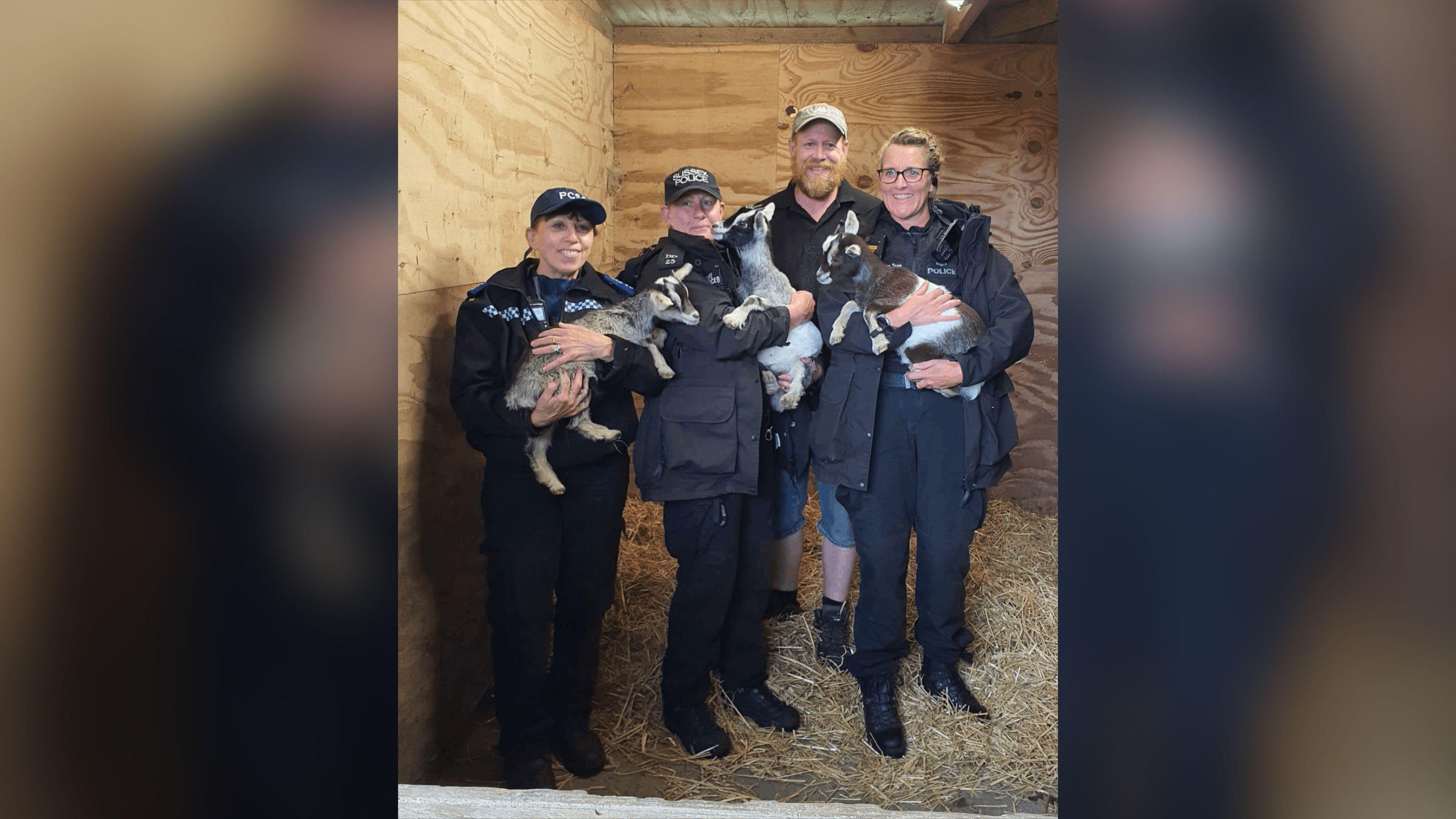 A group of police, and the owner, holding the goats