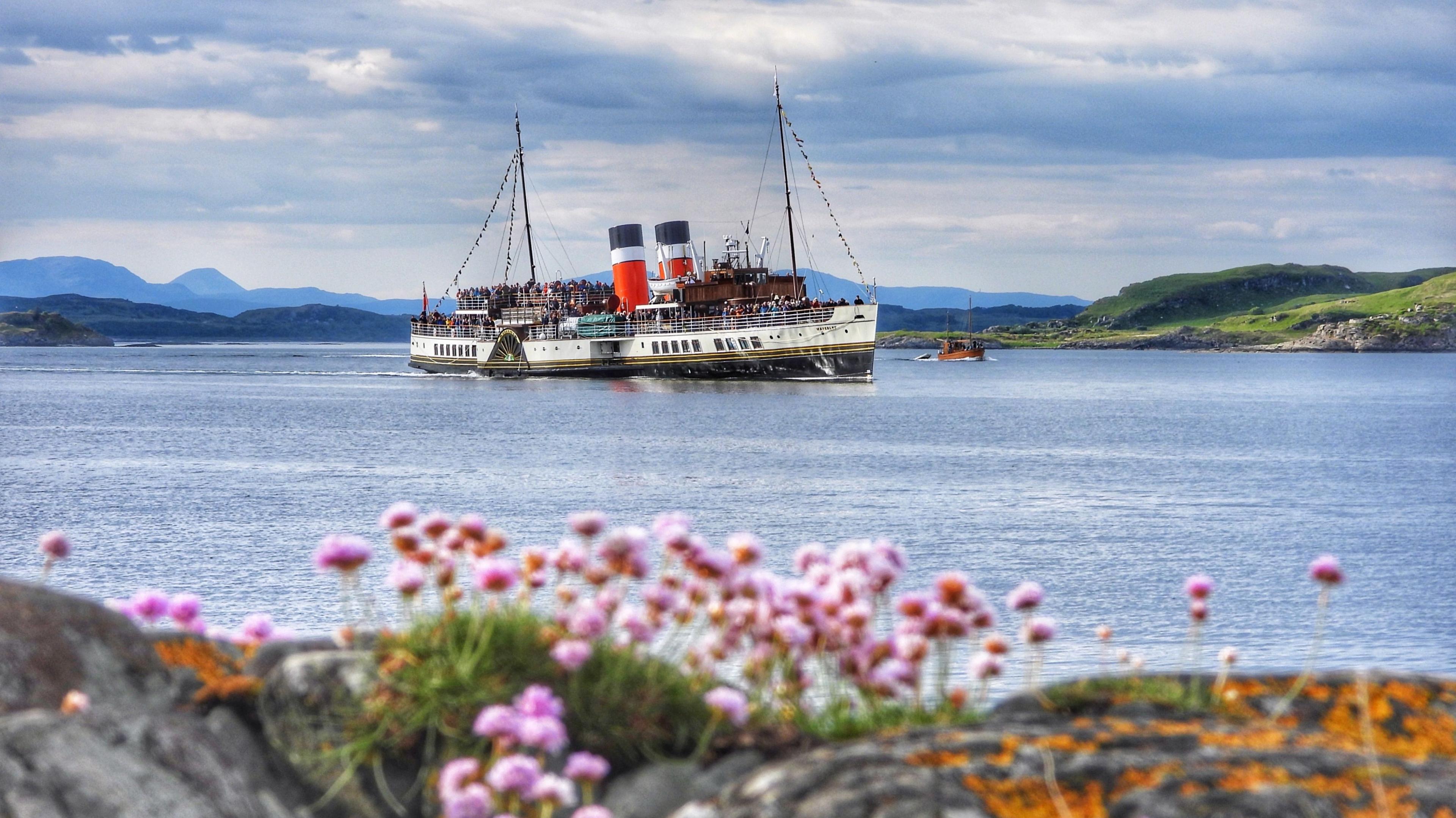 The Waverley boat sails through water in the distance, while flowers are at the forefront of the land pictured