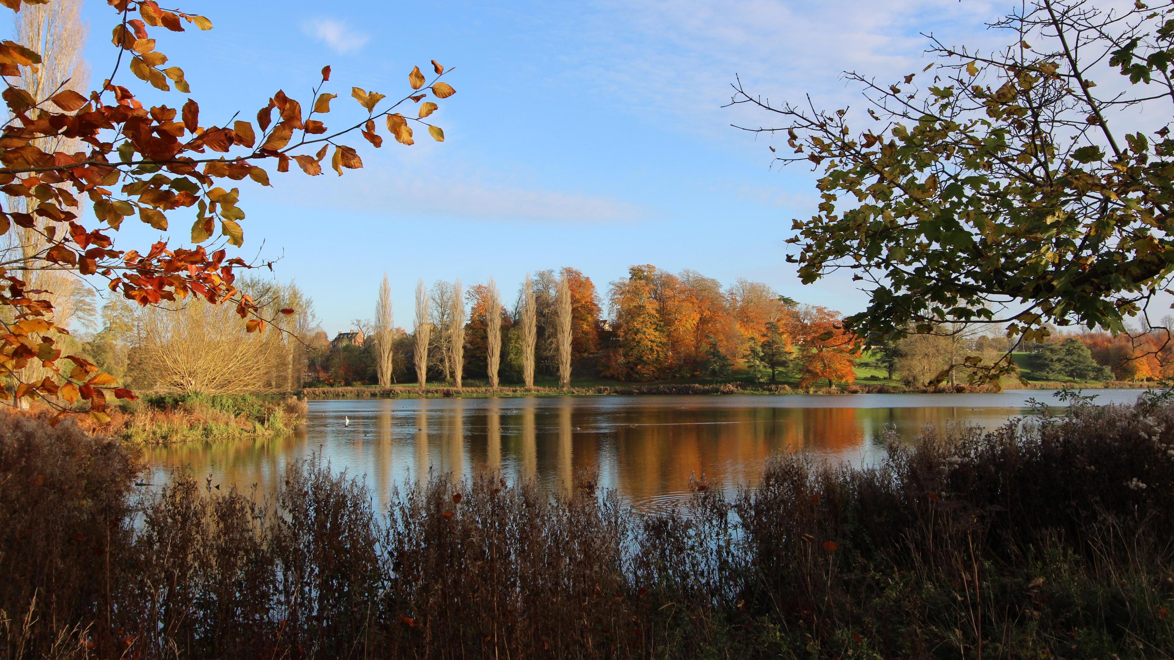 A row of trees with brown leaves can be seen in the distance with a body of water - possibly a lake - in front. It is a lovely sunny day with more trees and hedges around the water.