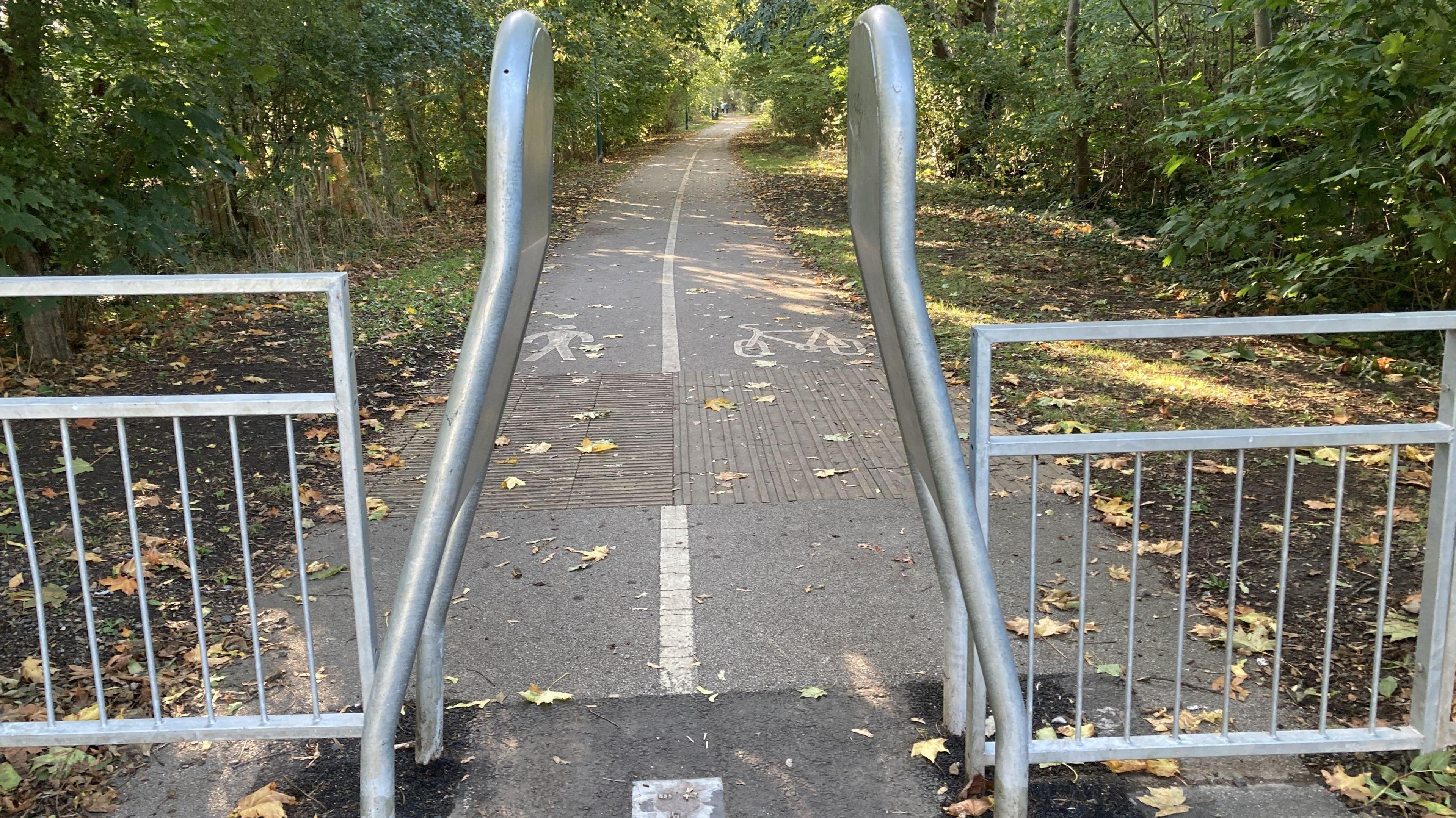 The curved metal barriers which have been installed on a public footpath. The path is through a wooded area and is divided into pedestrians and cyclists.
