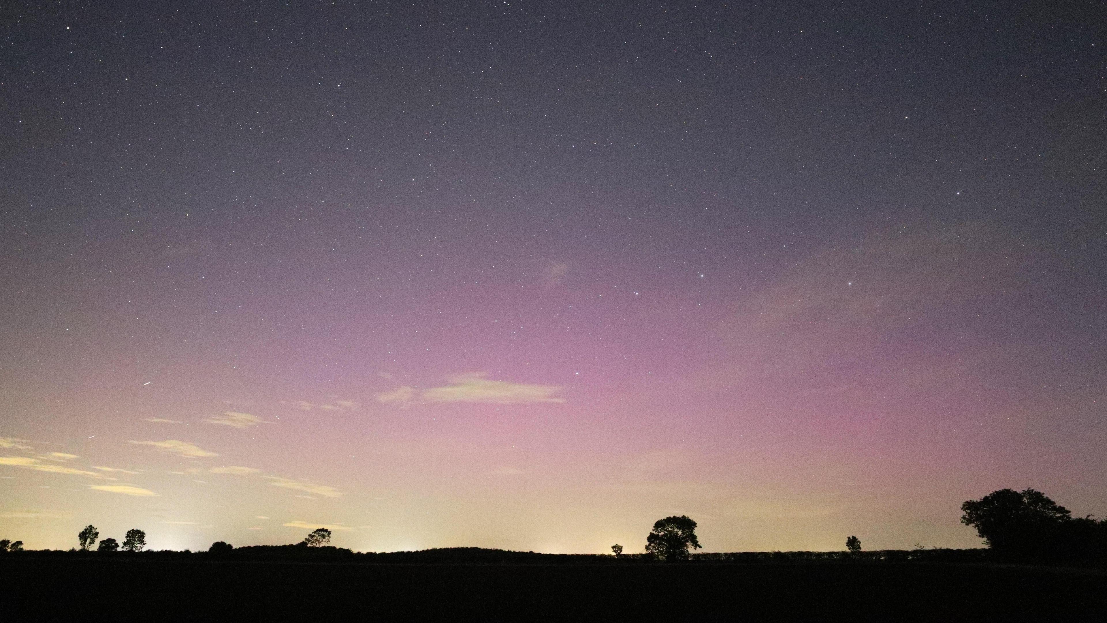 A night sky is lit up brightly in shade of pink and purple. On the horizon are some trees and shrubs