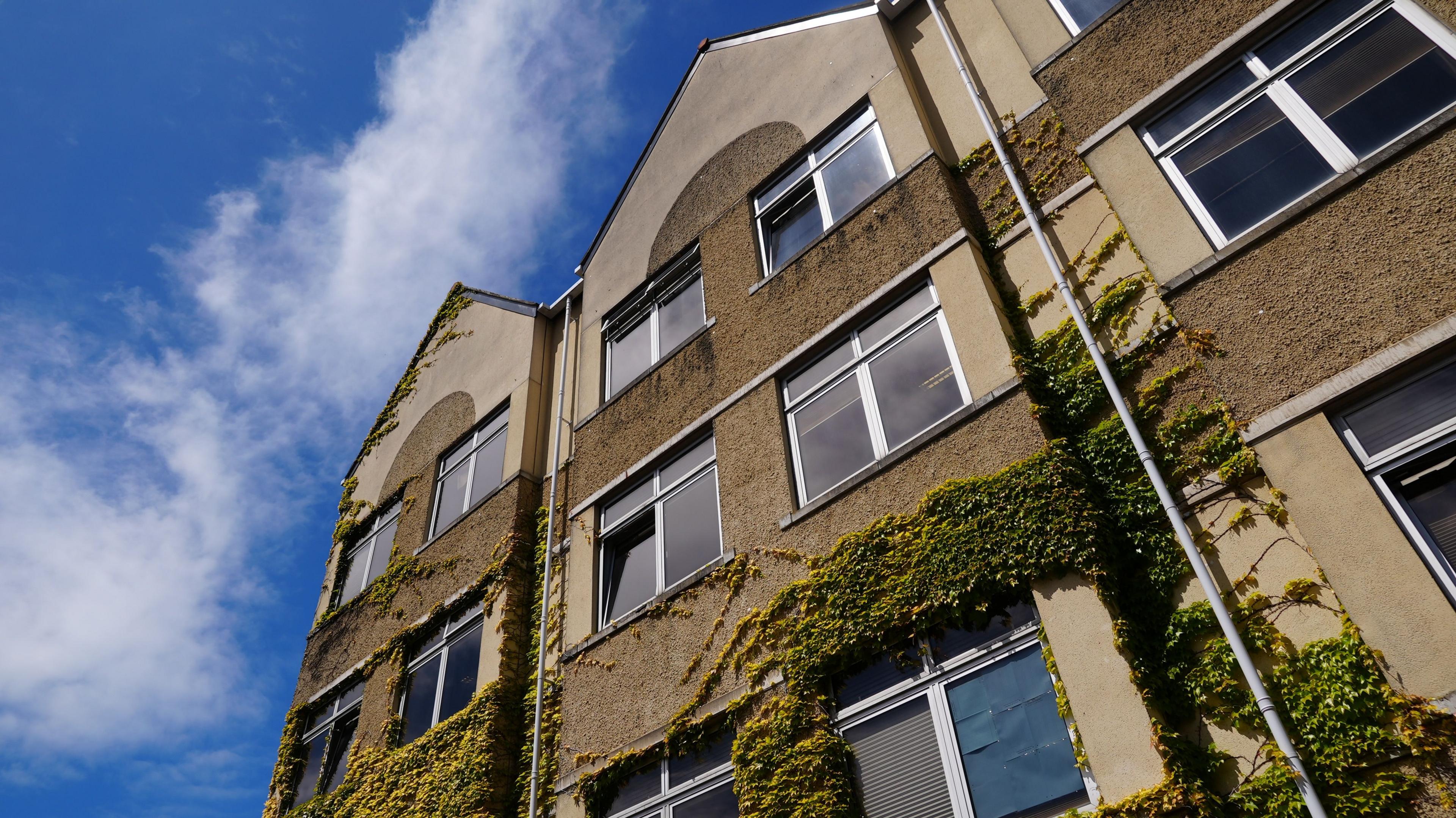 The States of Guernsey's headquarters at Sir Charles Frossard House - A yellow building with windows with ivy crawling up the walls. 