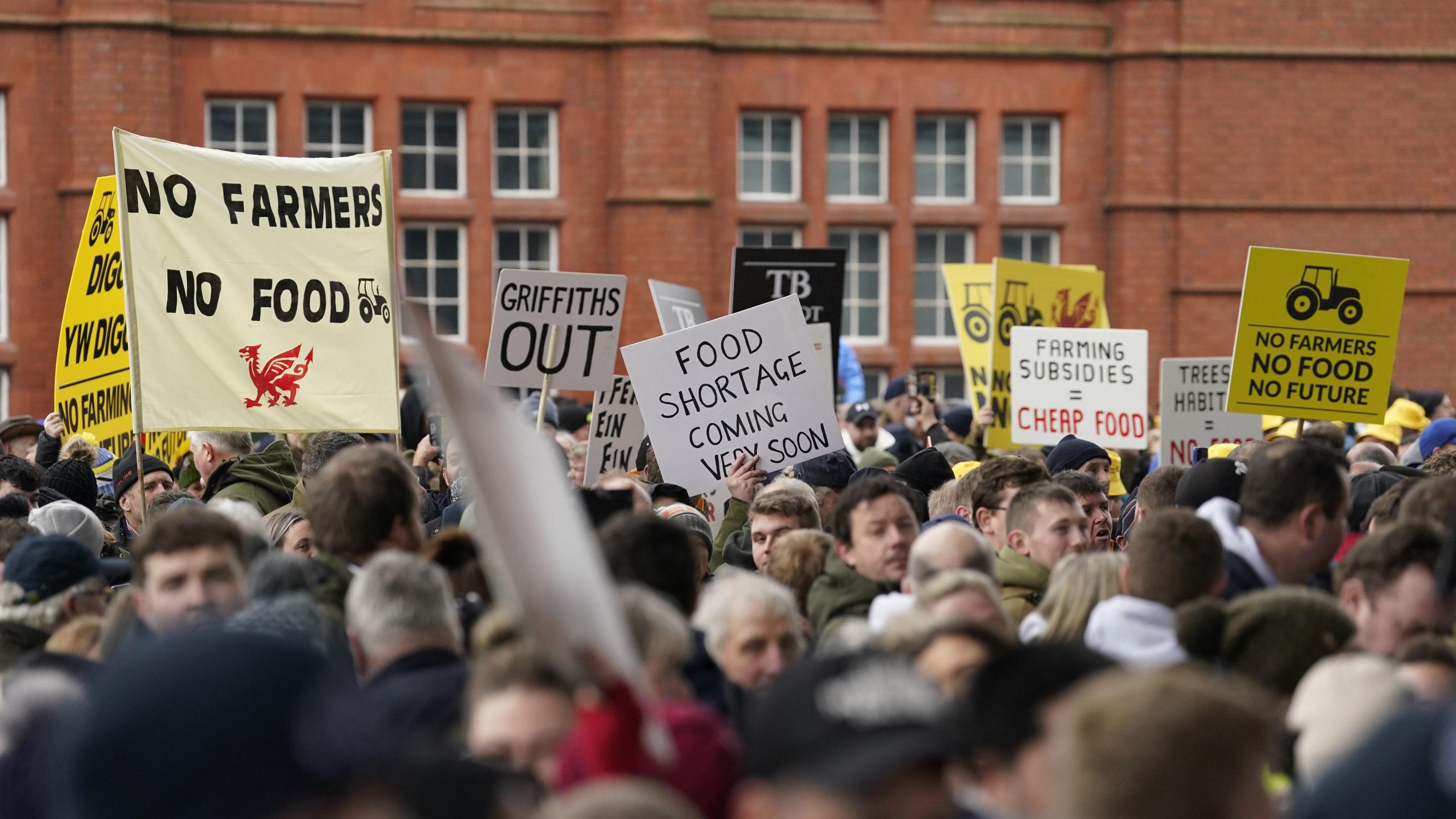 Ffermwyr yn protestio tu allan i'r Senedd ym mis Chwefror