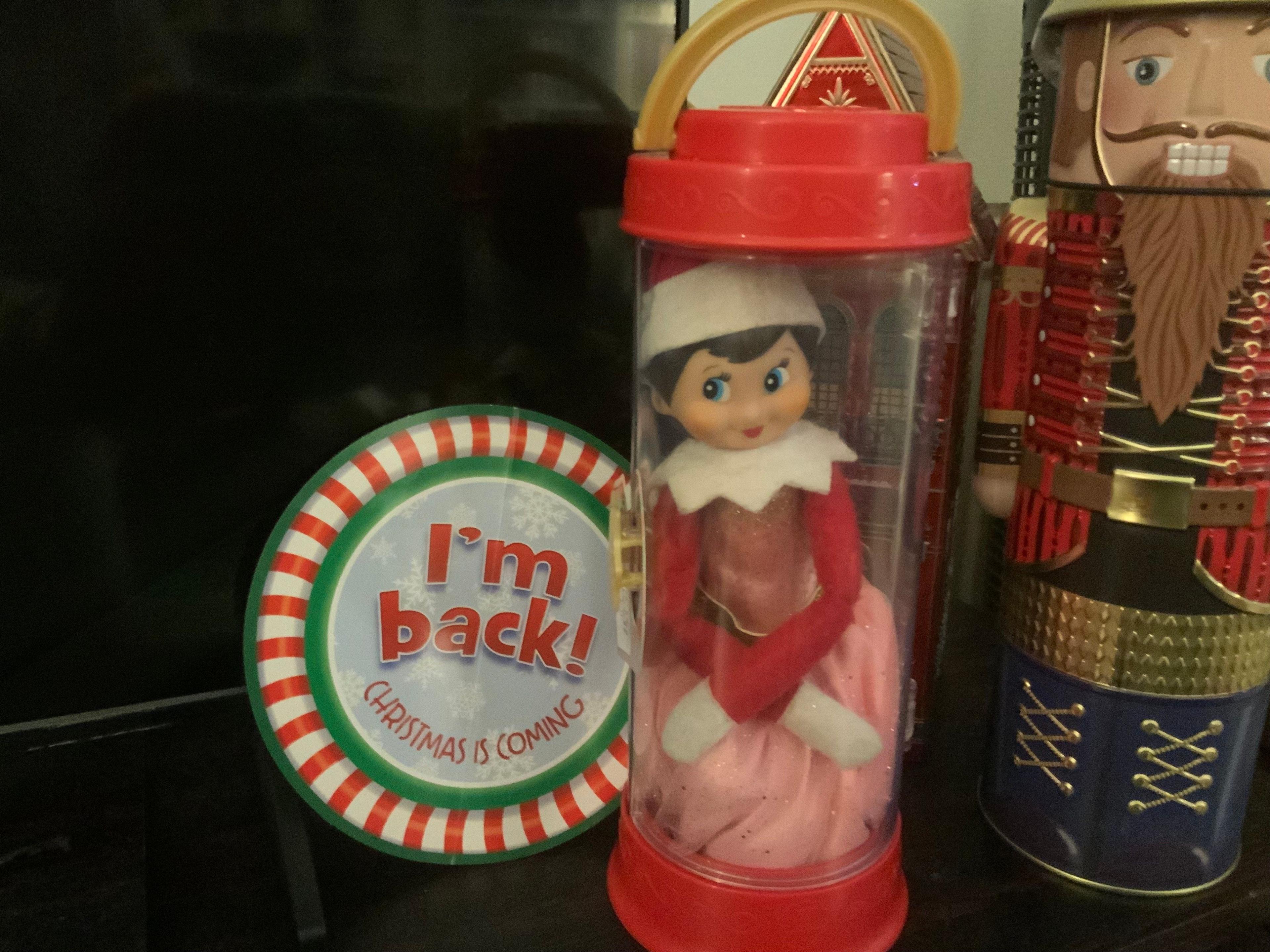 Plastic elf wearing a pink skirt is shown inside a plastic tube, with a sign placed next to it which reads: "I'm back! Christmas is coming"