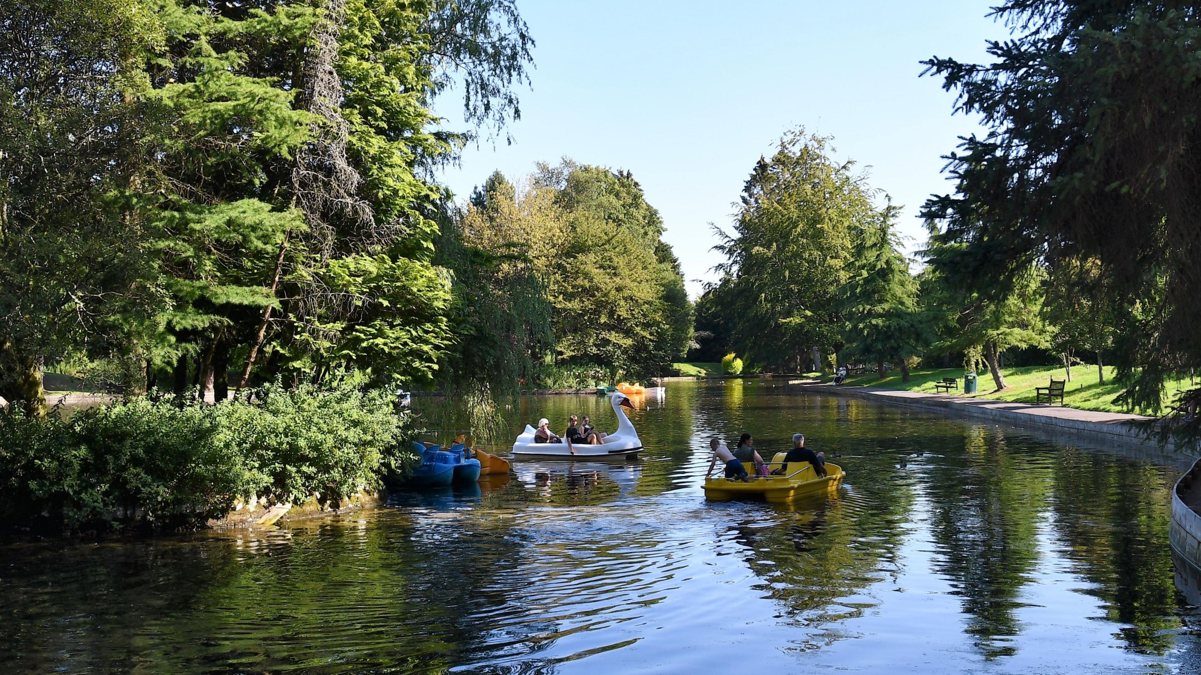 A boating pond full of water with pedal boats - one shaped like a swan - floating across the water. There are lots of large trees on the shoreline.