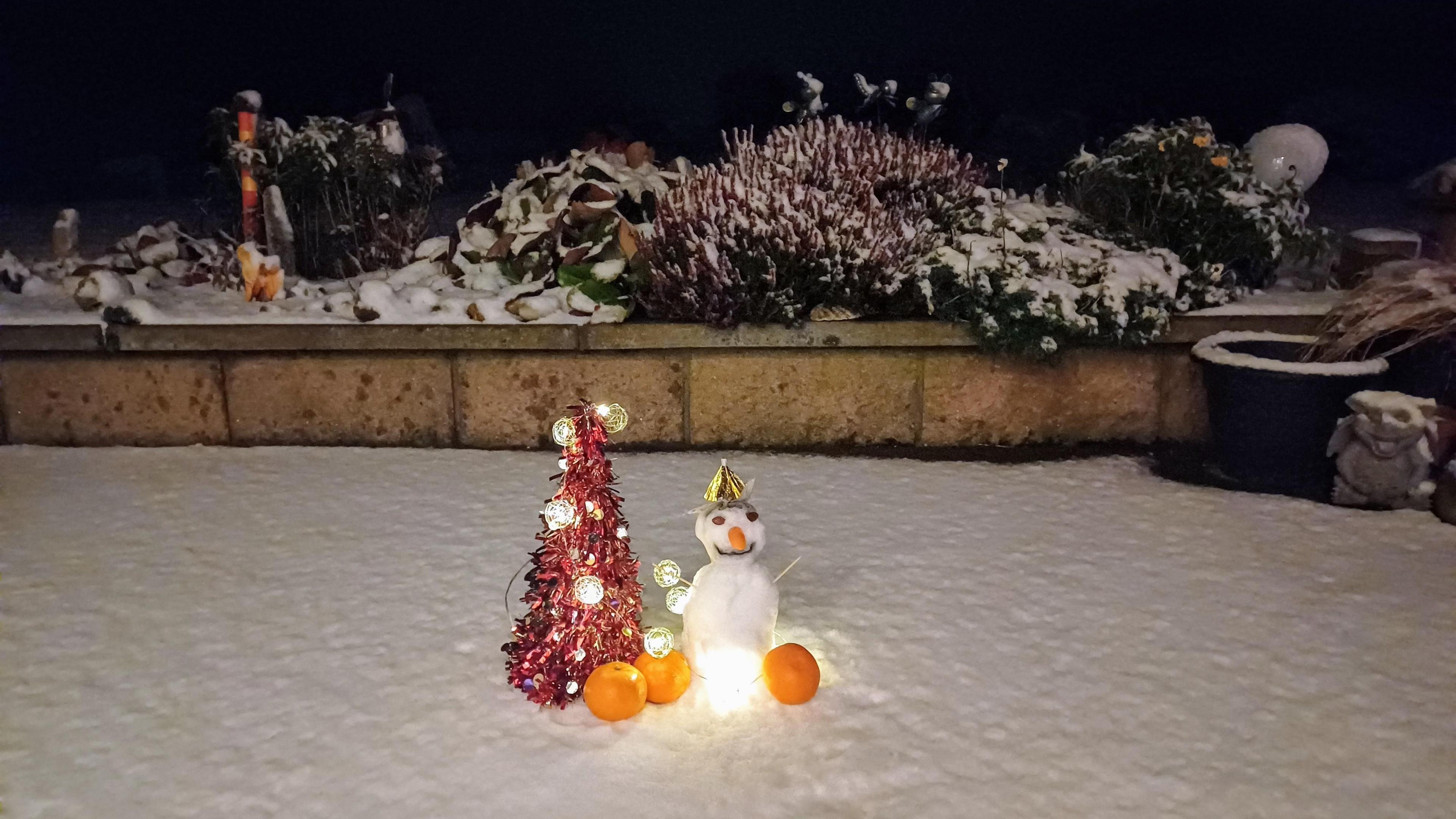 A little snowman built in a garden, next to a very small Christmas tree