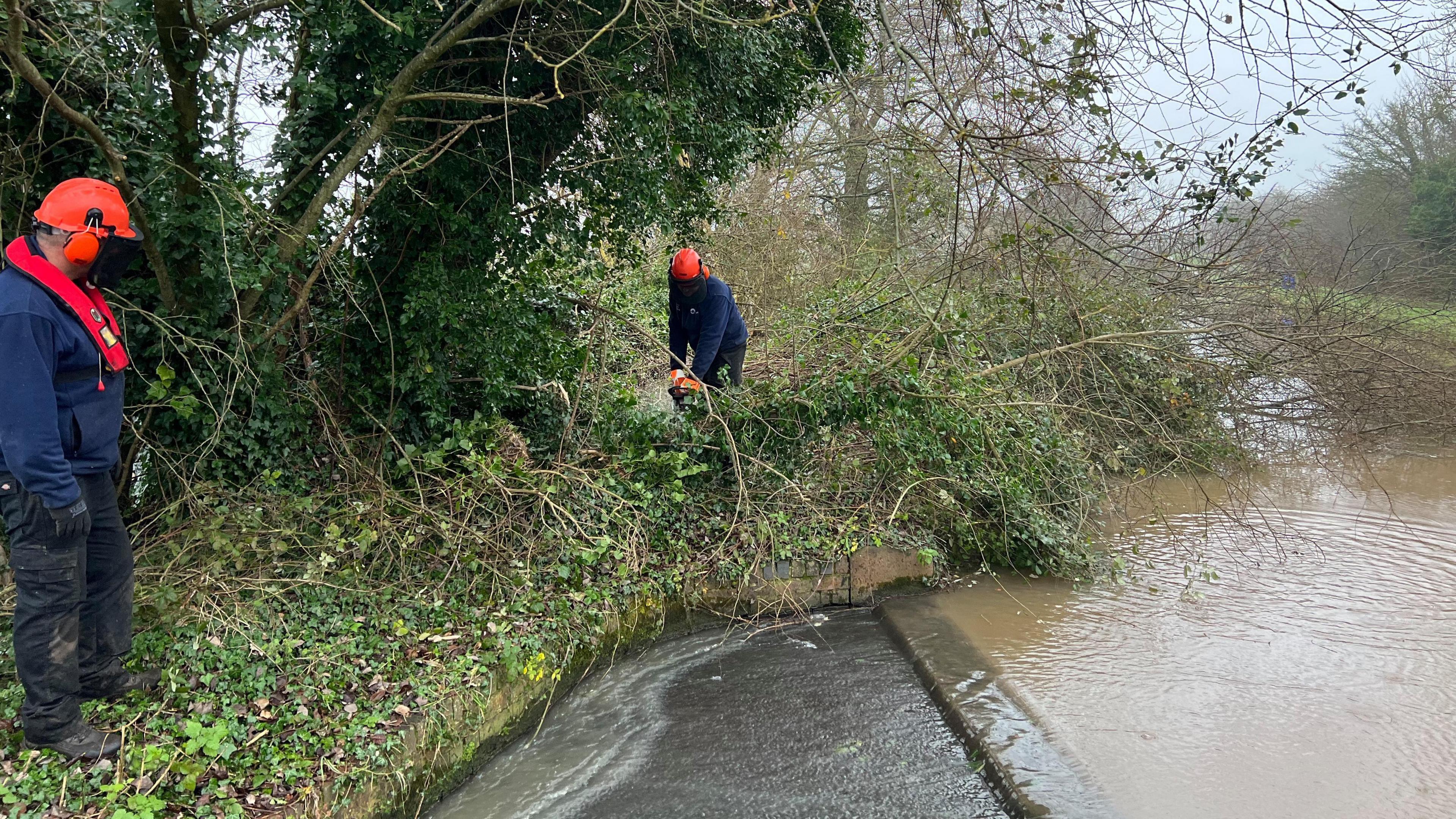 A worker wearing muddy black trousers, a blue jumper, black gloves and an orange helmet watches another similarly-dressed worker using a chainsaw to cut up a tree which is blocking a canal.