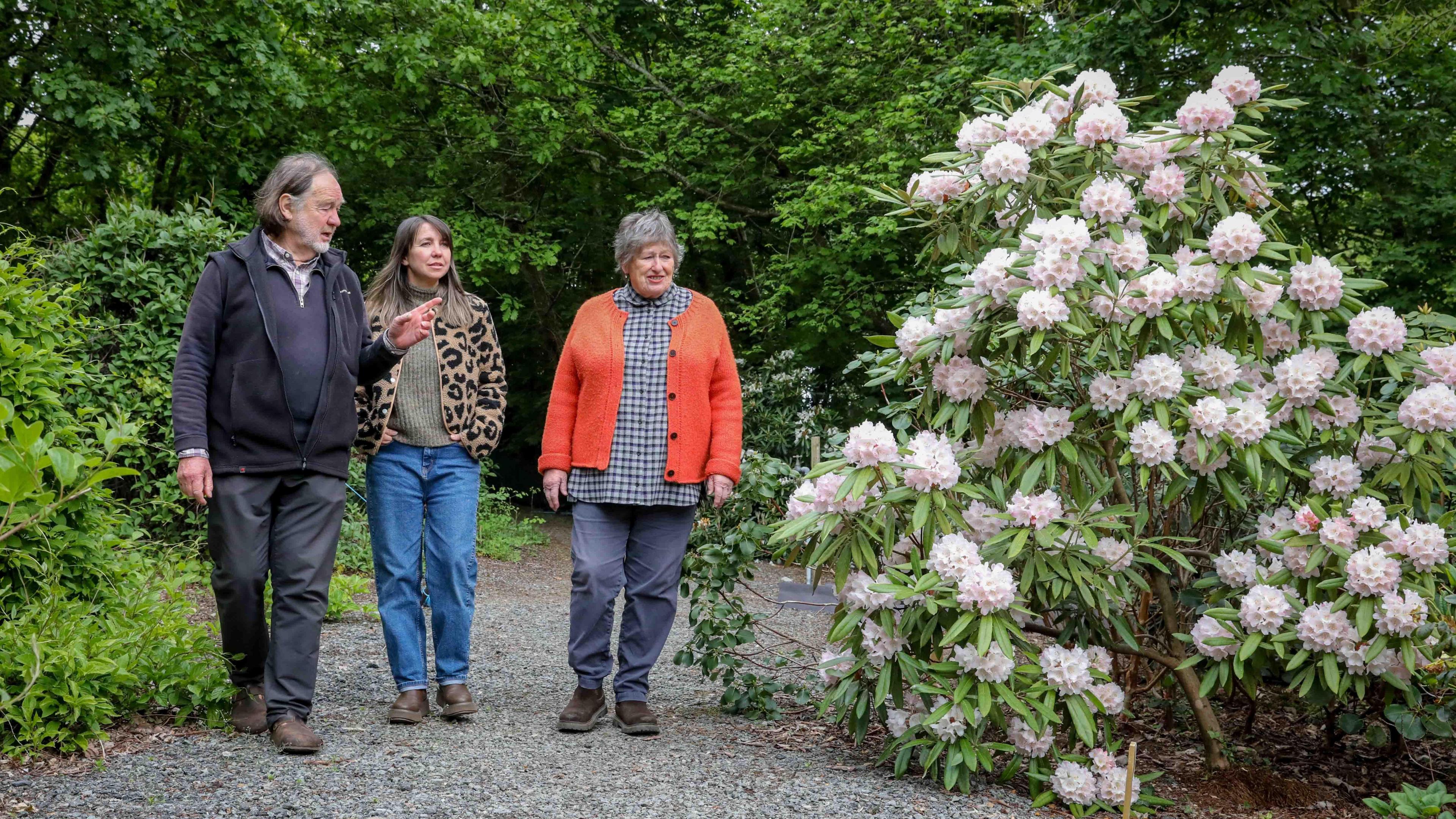 Sue, Bleddyn a Meinir
