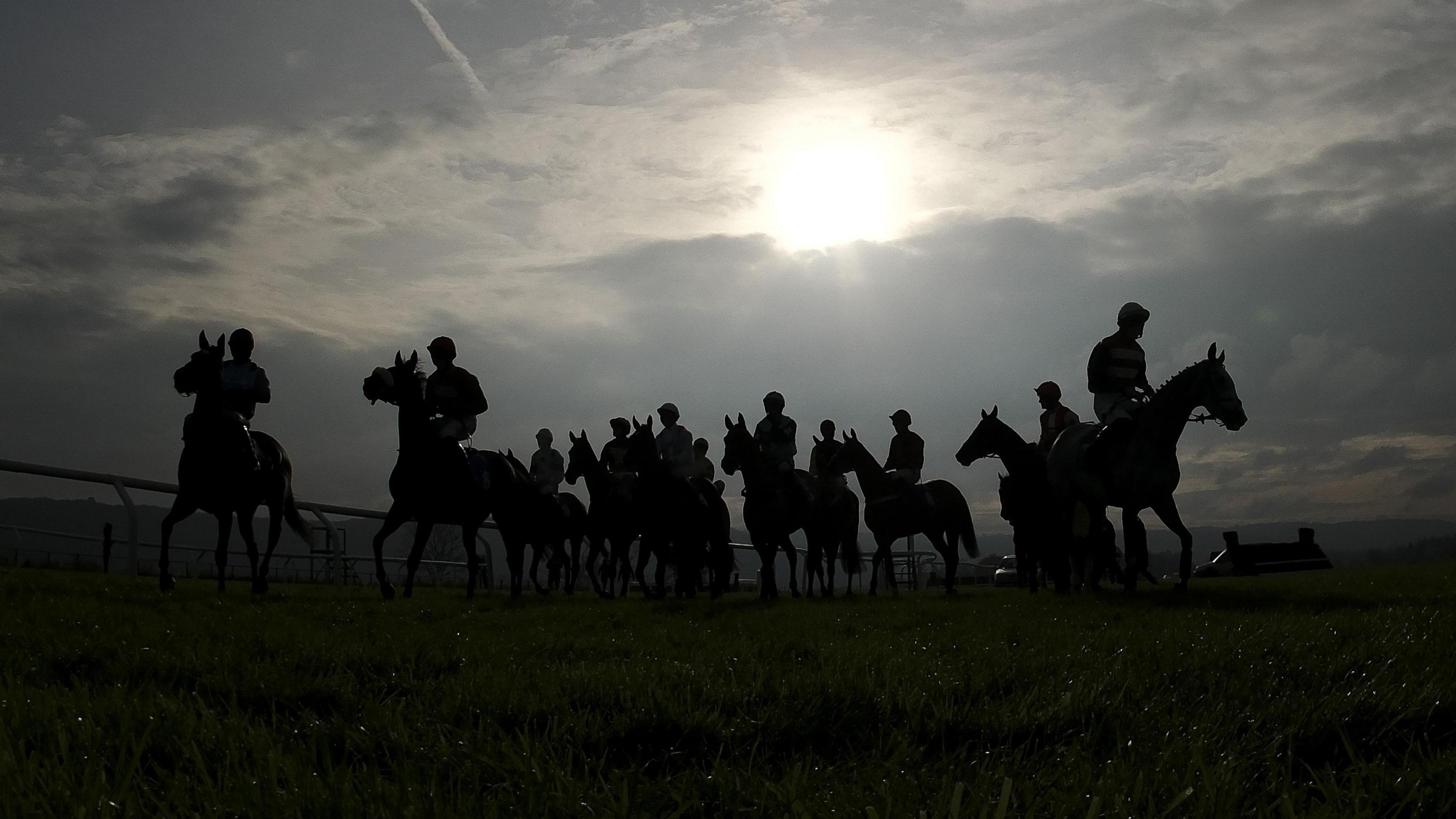 A group of jockeys on their horses are pictured near the start line at Taunton Racecourse. They are silhouetted dark against the sunny sky with light clouds also visible