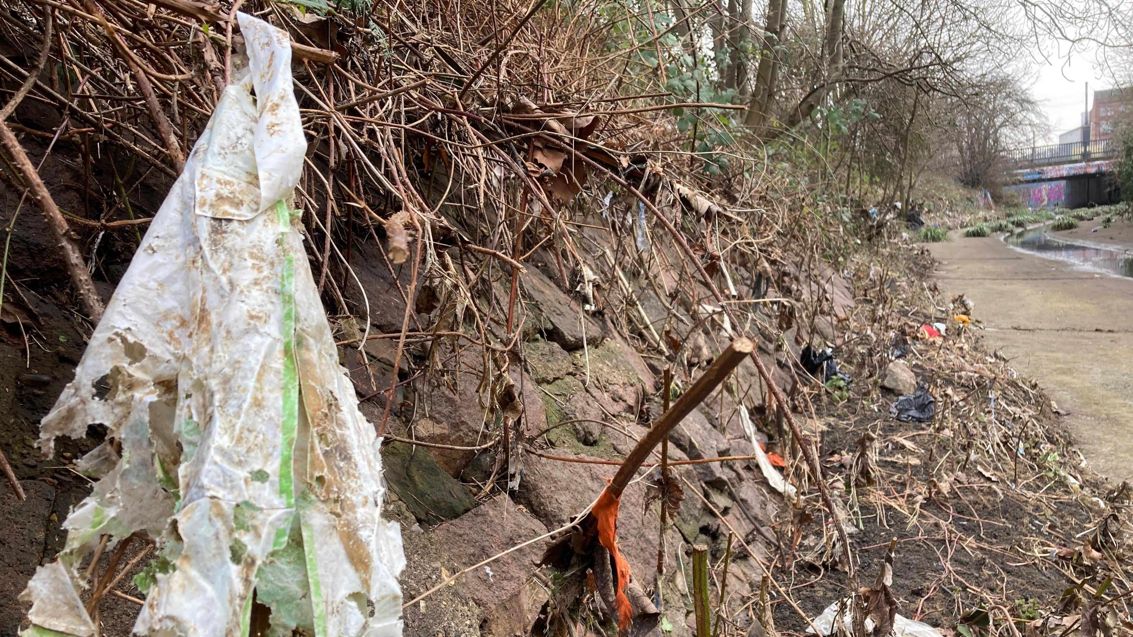 In the foreground you can see a sheet of plastic caught up in the bank alongside Willow Brook along with other scraps of clothing. 