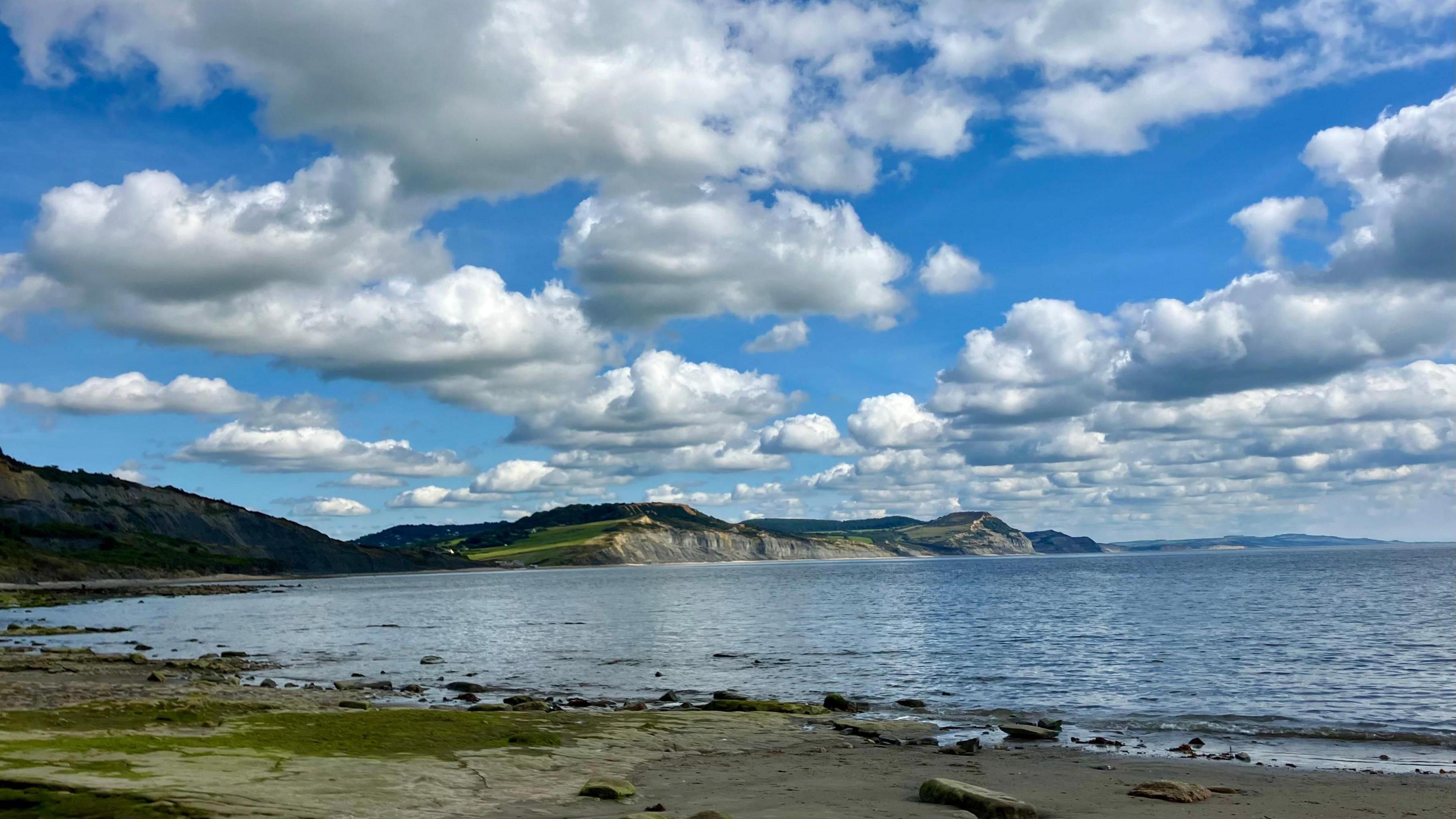 A picture of a beach on a sunny day with white clouds lining the blue sky. A beach covered in green seaweed can be seen in the foreground and a cliff landscape overlooking the sea can be seen in the background.