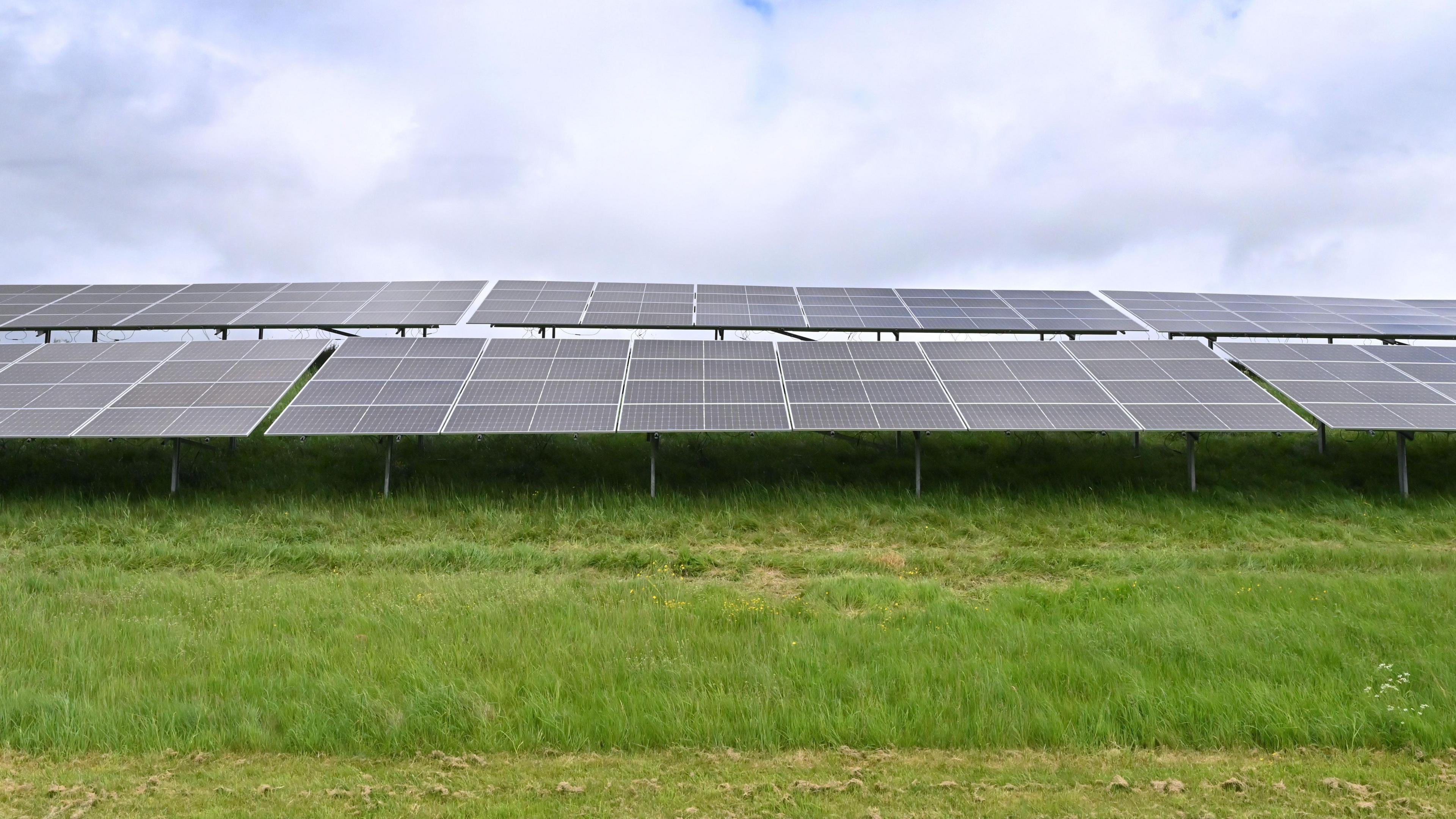 Rows of solar panels are on a patch of grass with cloudy sky in the background