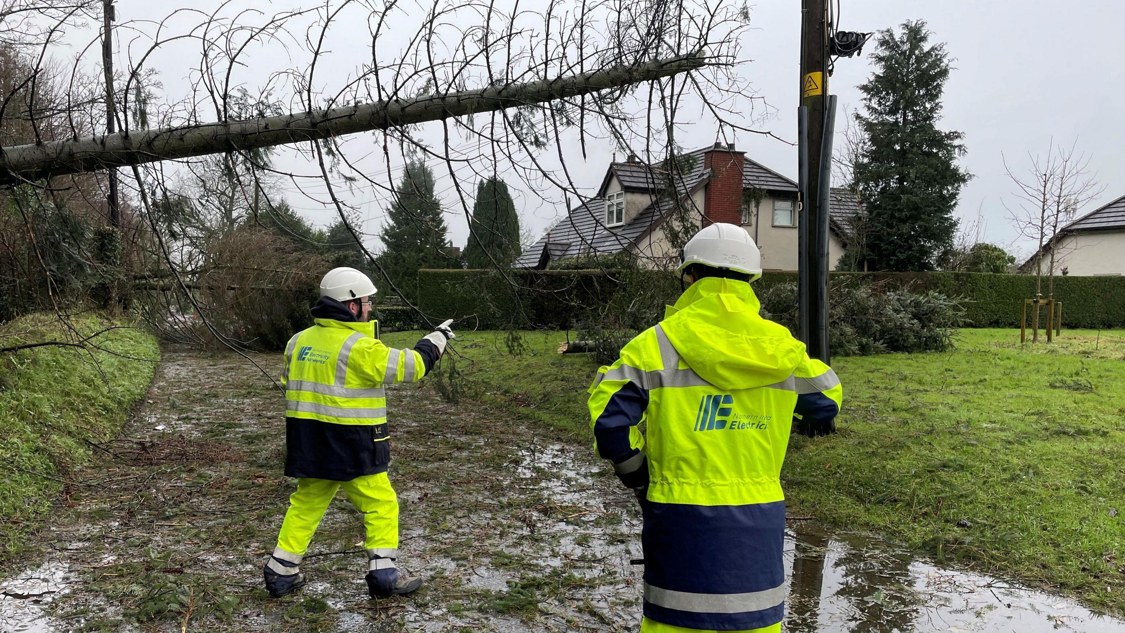 Two NIE engineers in reflective jackets and hard hats stand with their backs turned to the camera. One is pointing to a large tree which has fallen to the side near a power line.