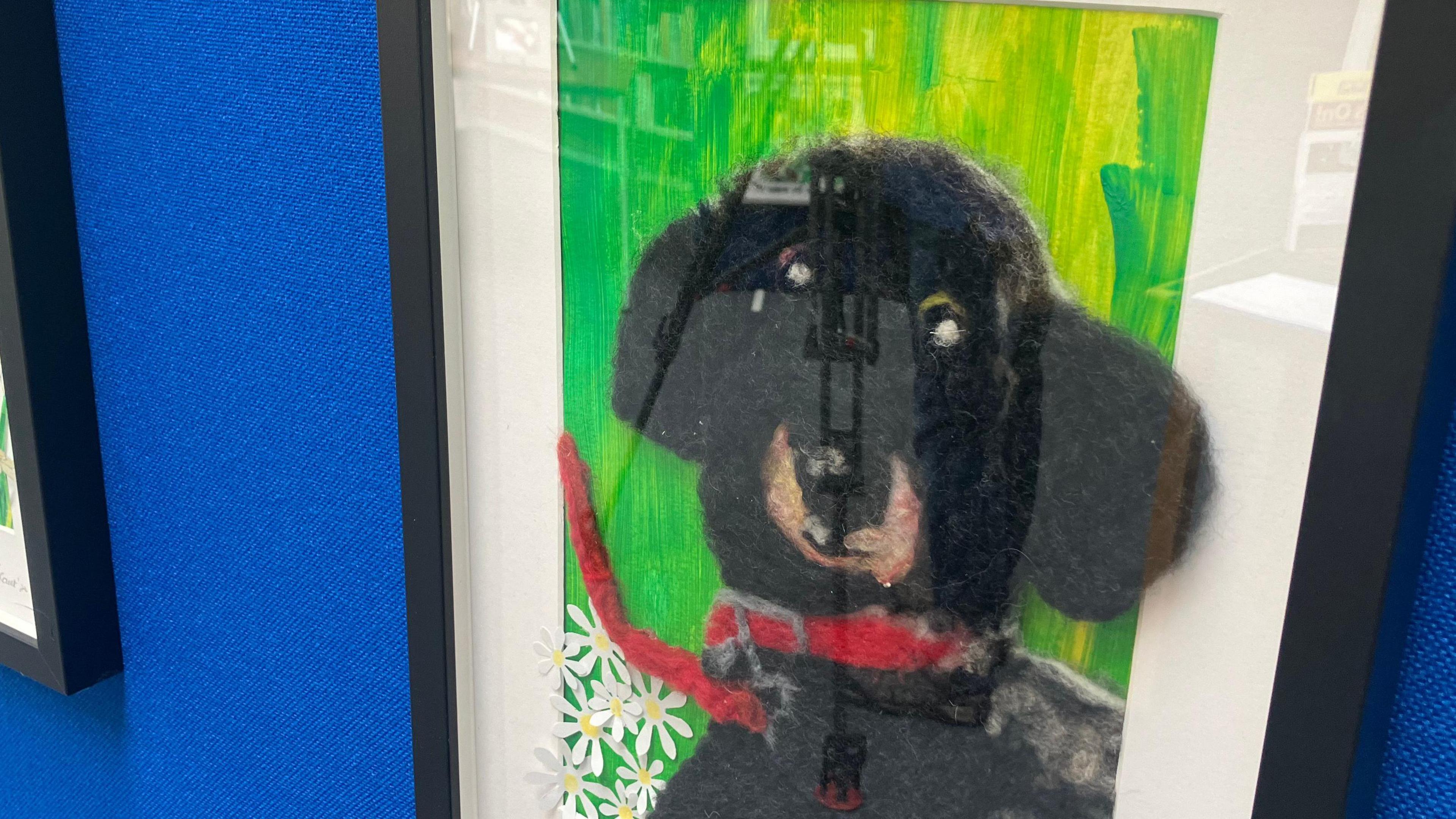 A portrait of a black dog on a lead