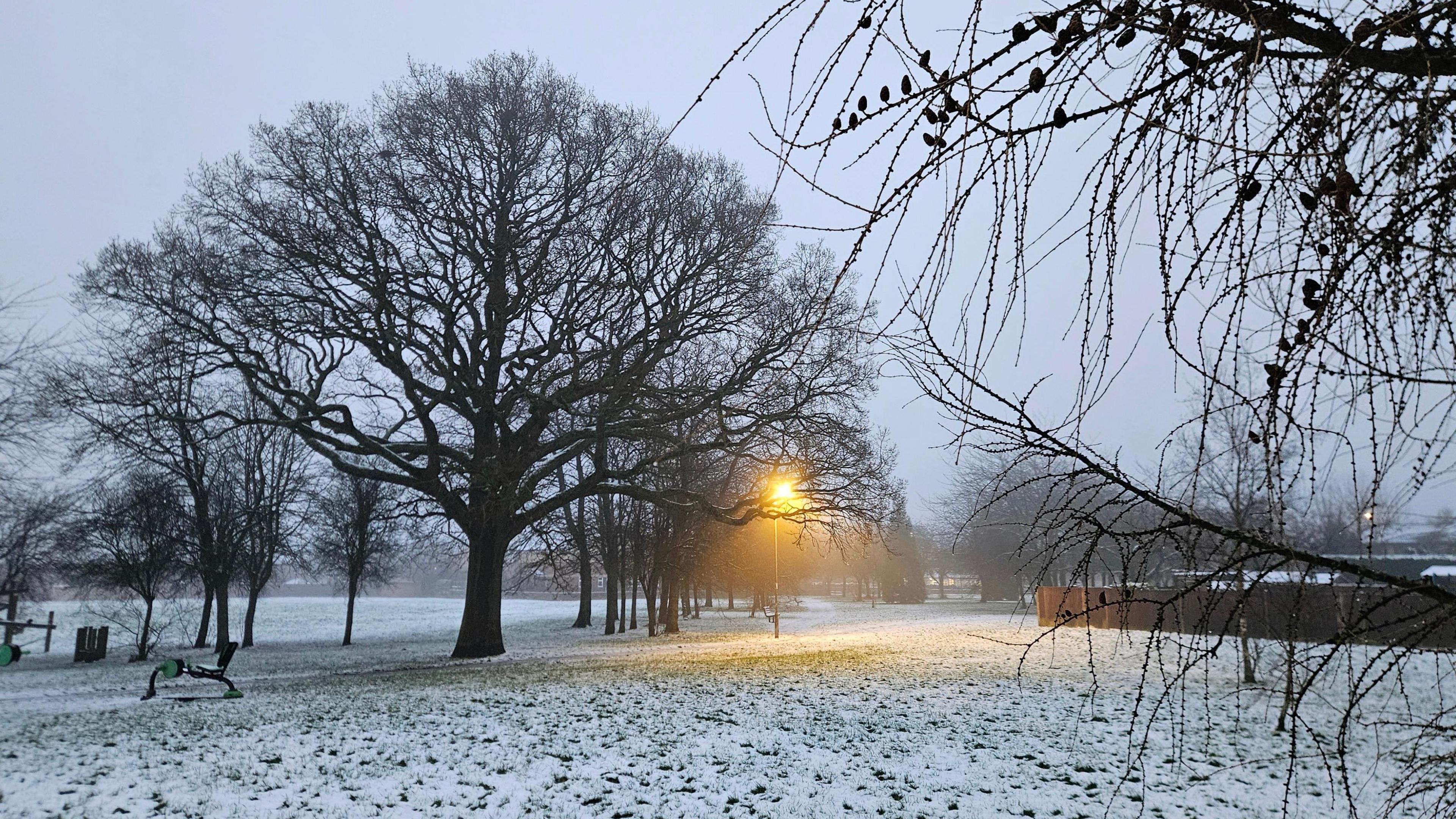 Snow in a park, fallen on the path, and grass, with bare trees and a street lamp on in the distance