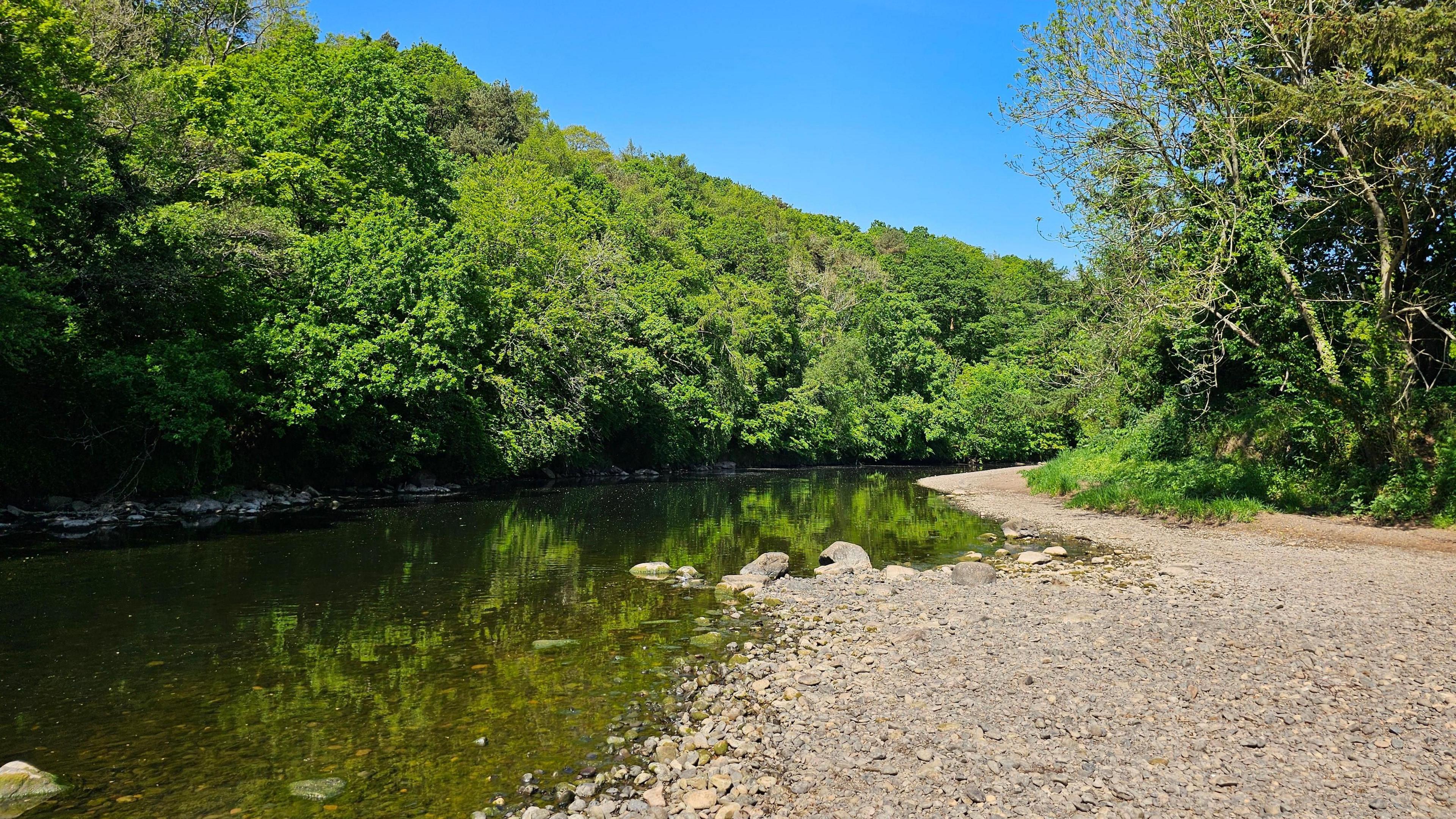 A low river in Ayr.