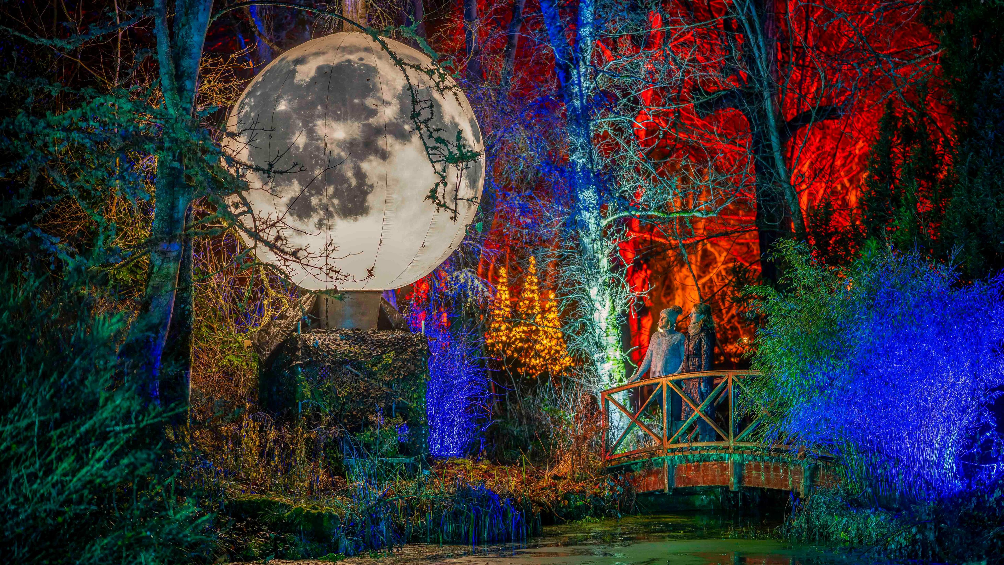 A lights display shows a moon next to a bridge in a multi-coloured forest