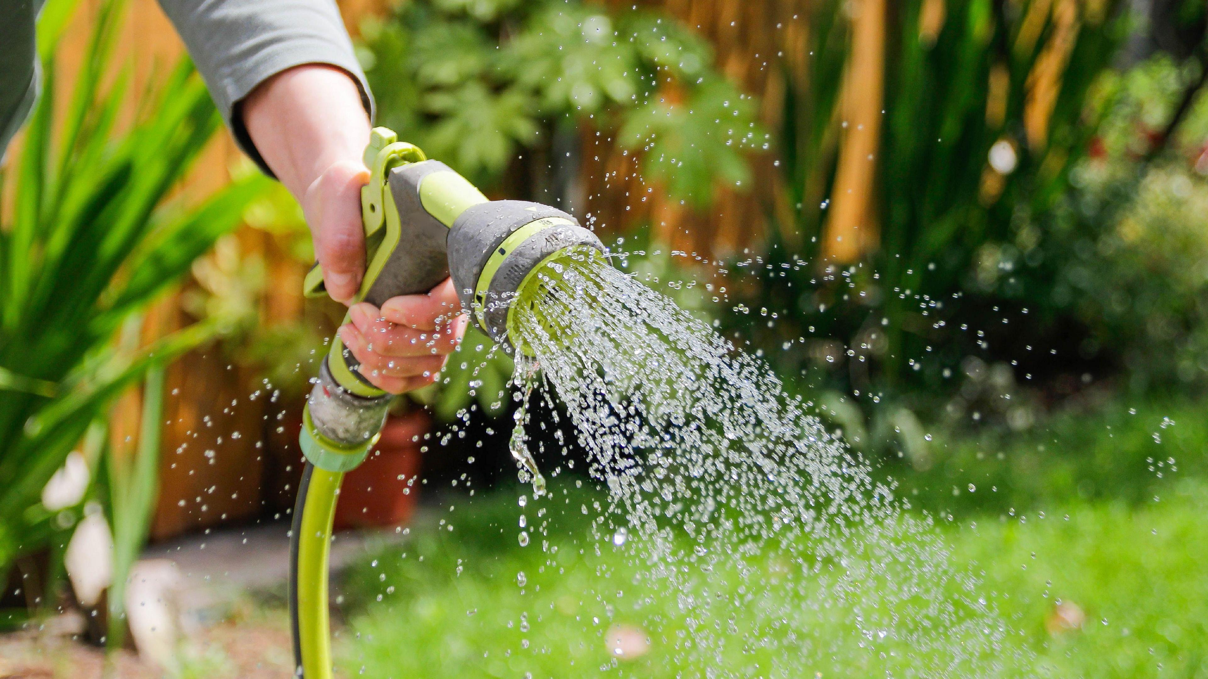 Water coming out of a hose in a garden. Grass can be seen in the background, with a border behind it.