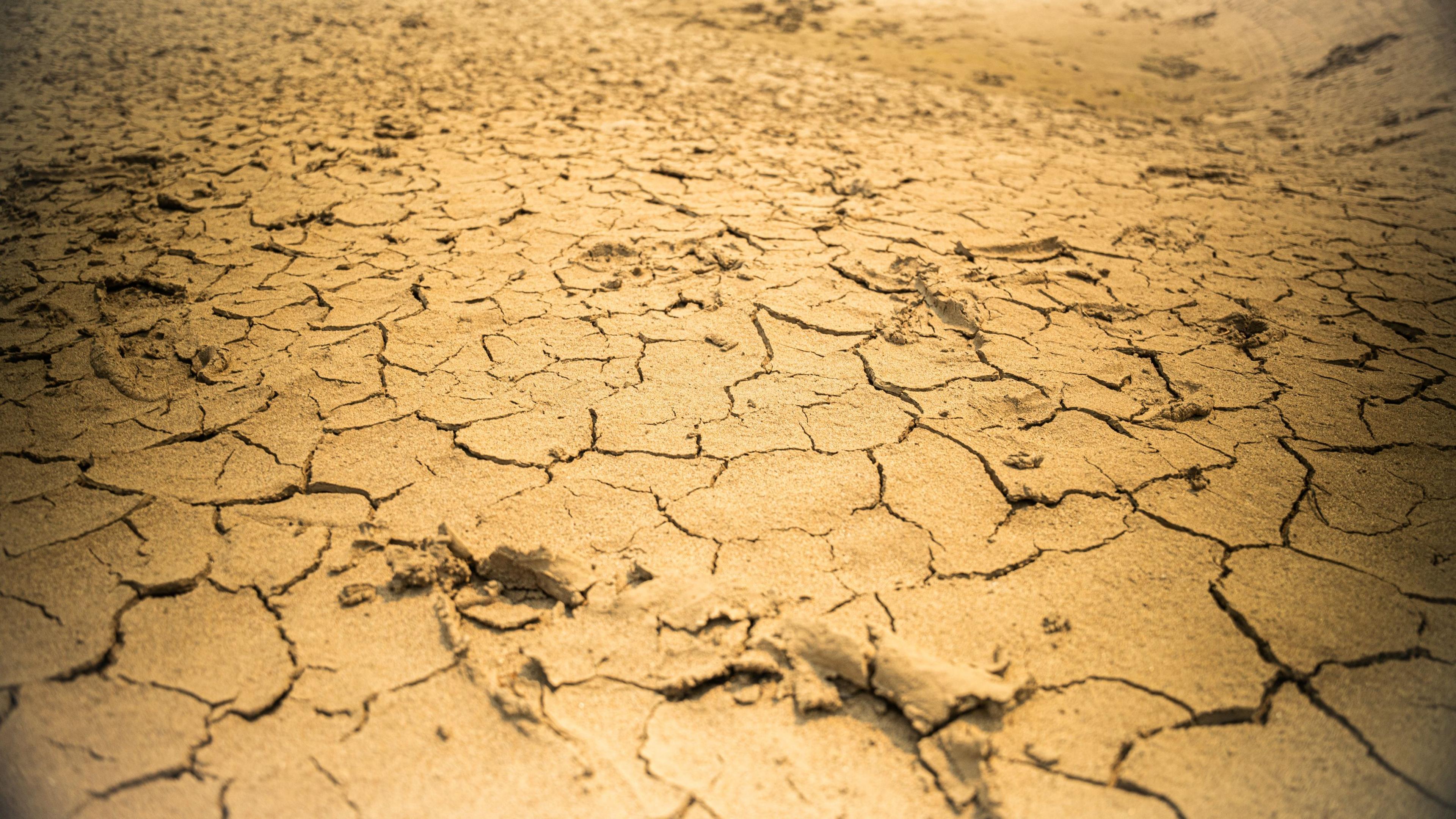 Cracked land shows the extent of the drought in the area