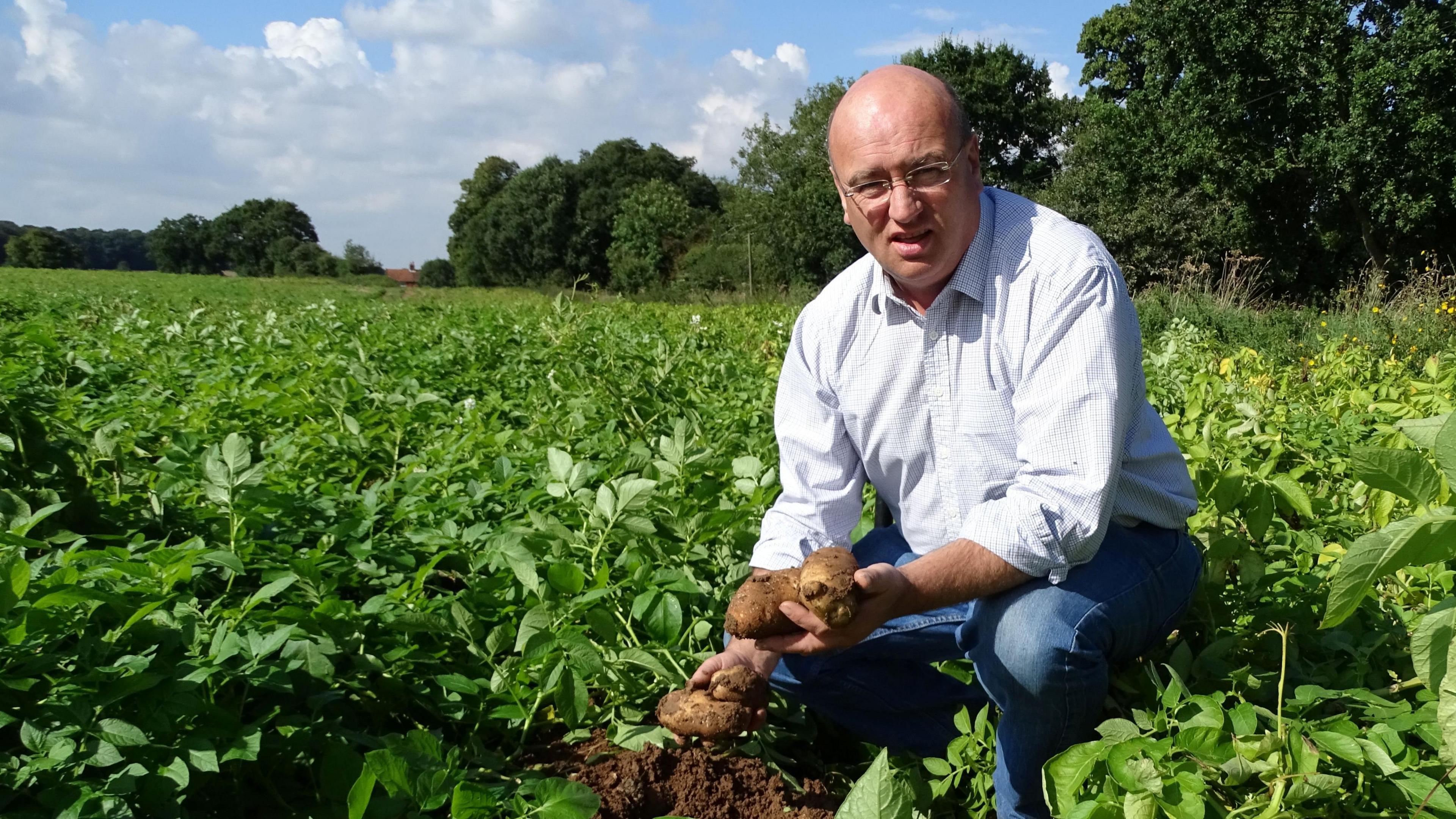 Tony Bambridge is sitting in a field holding some potatoes. He's wearing a light white shirt and blue jeans.