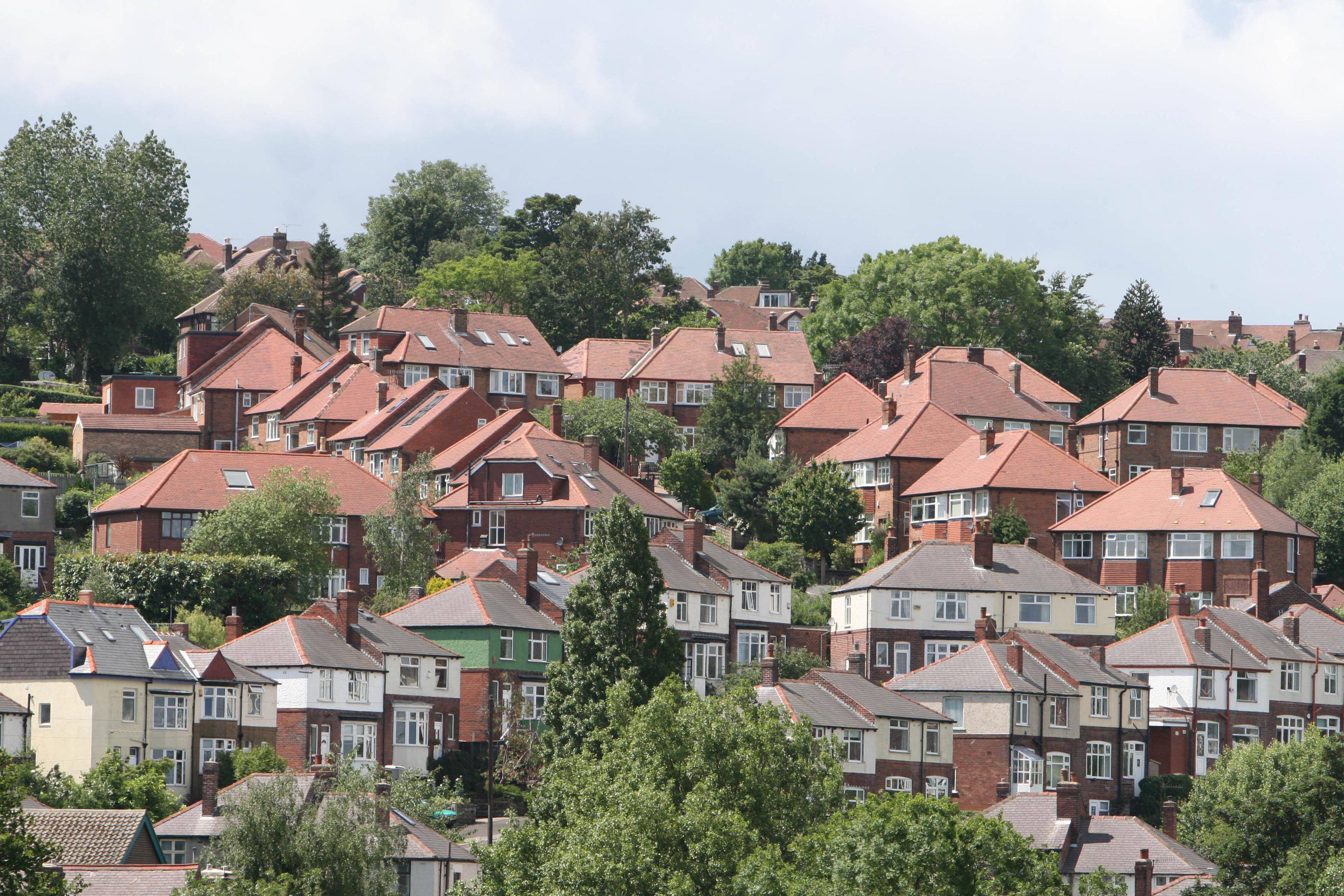 A photograph showing trees in the gardens of houses in Sheffield