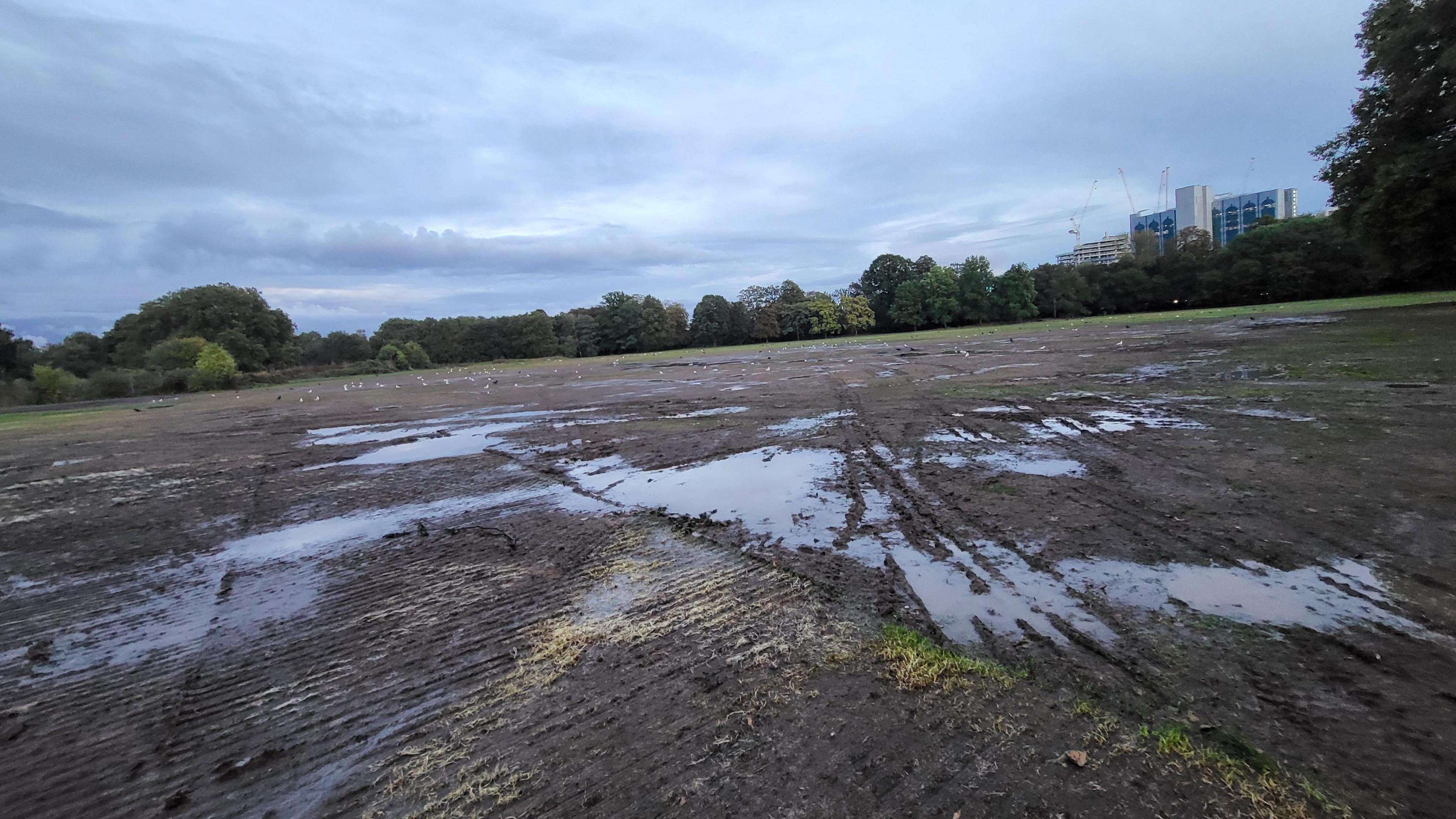 A muddy field with puddles and tyre tracks