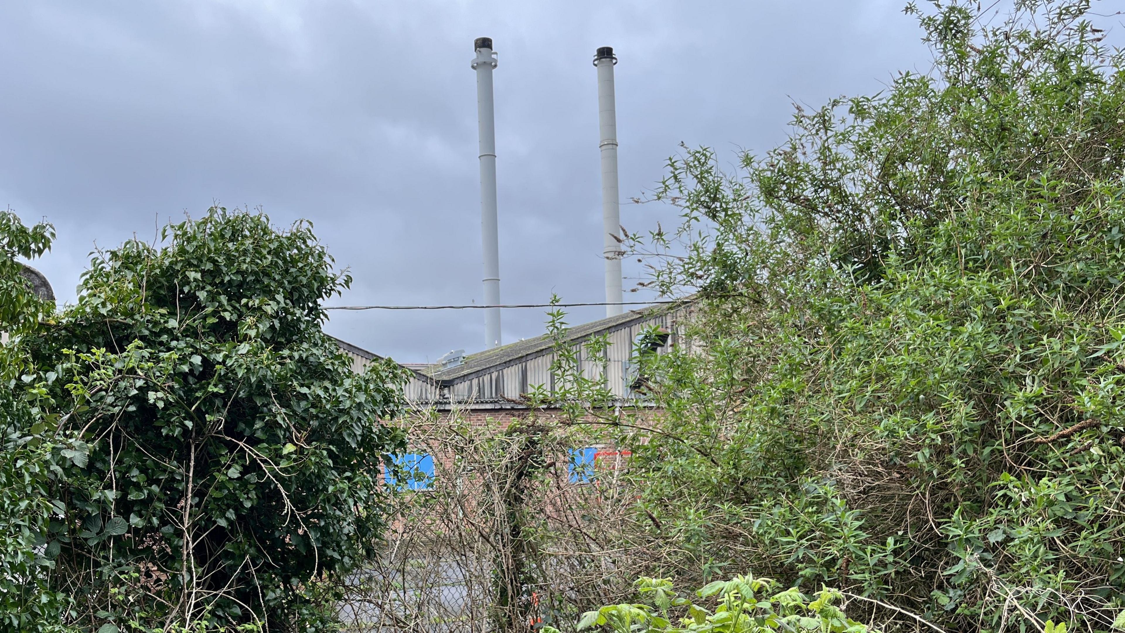 Chimneys from the disused Cooper Tire factory behind green hedges