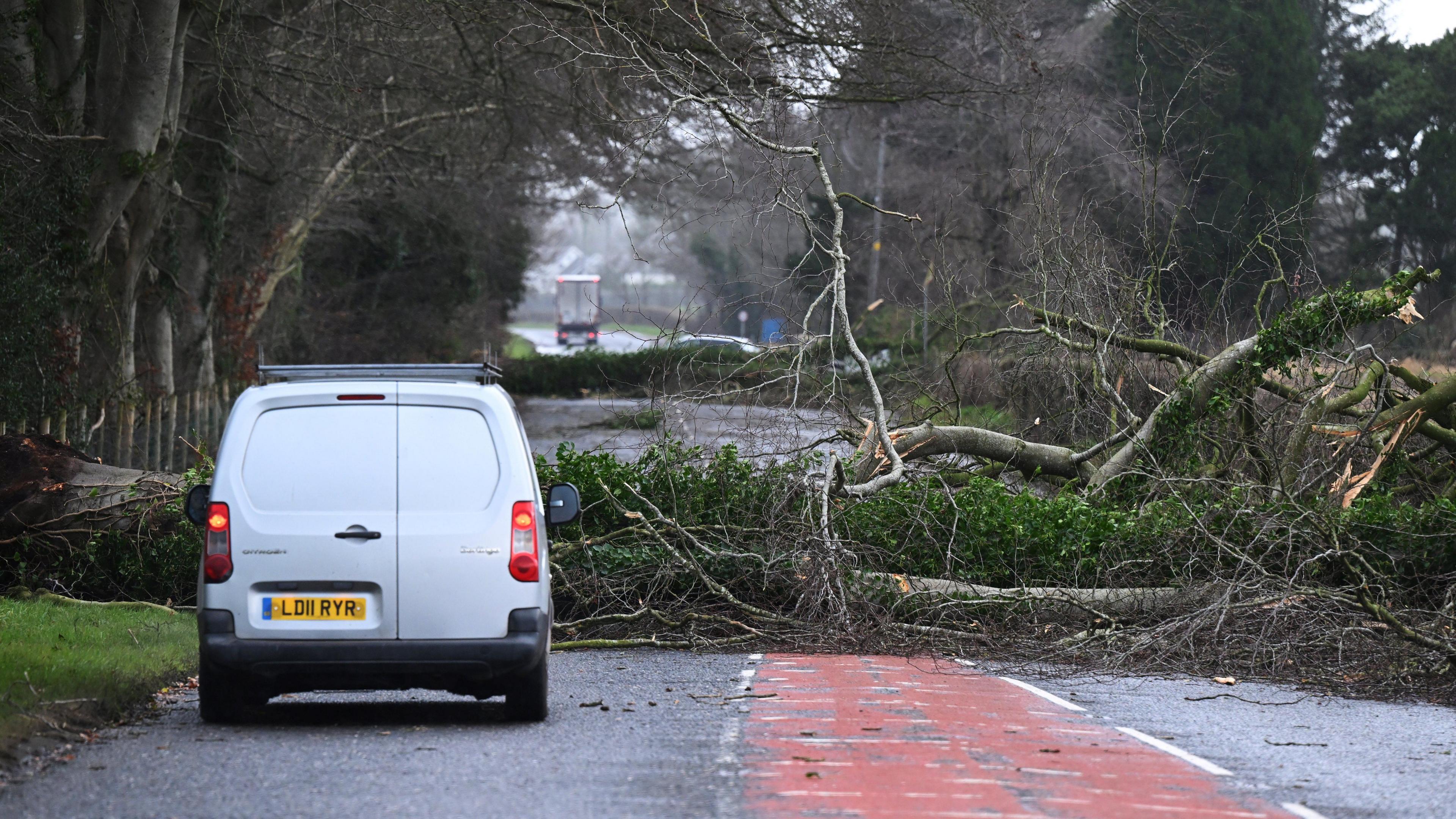 The driver of a white van is unable to drive forward because of a large uprooted tree. More trees are uprooted further up the road.