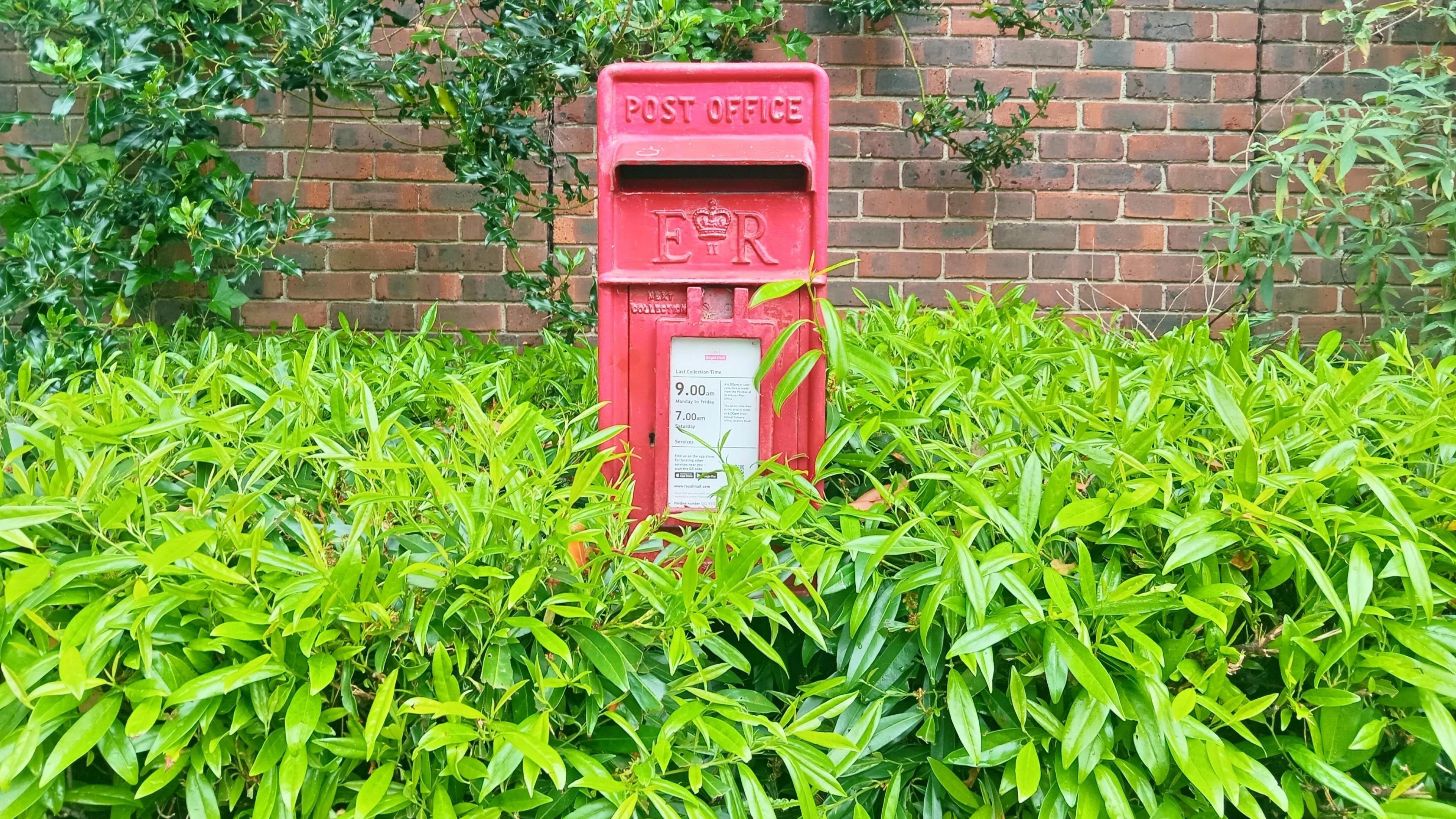 A small red letterbox surrounded by bushes, though they do not cover the letter slot at the top of the box.