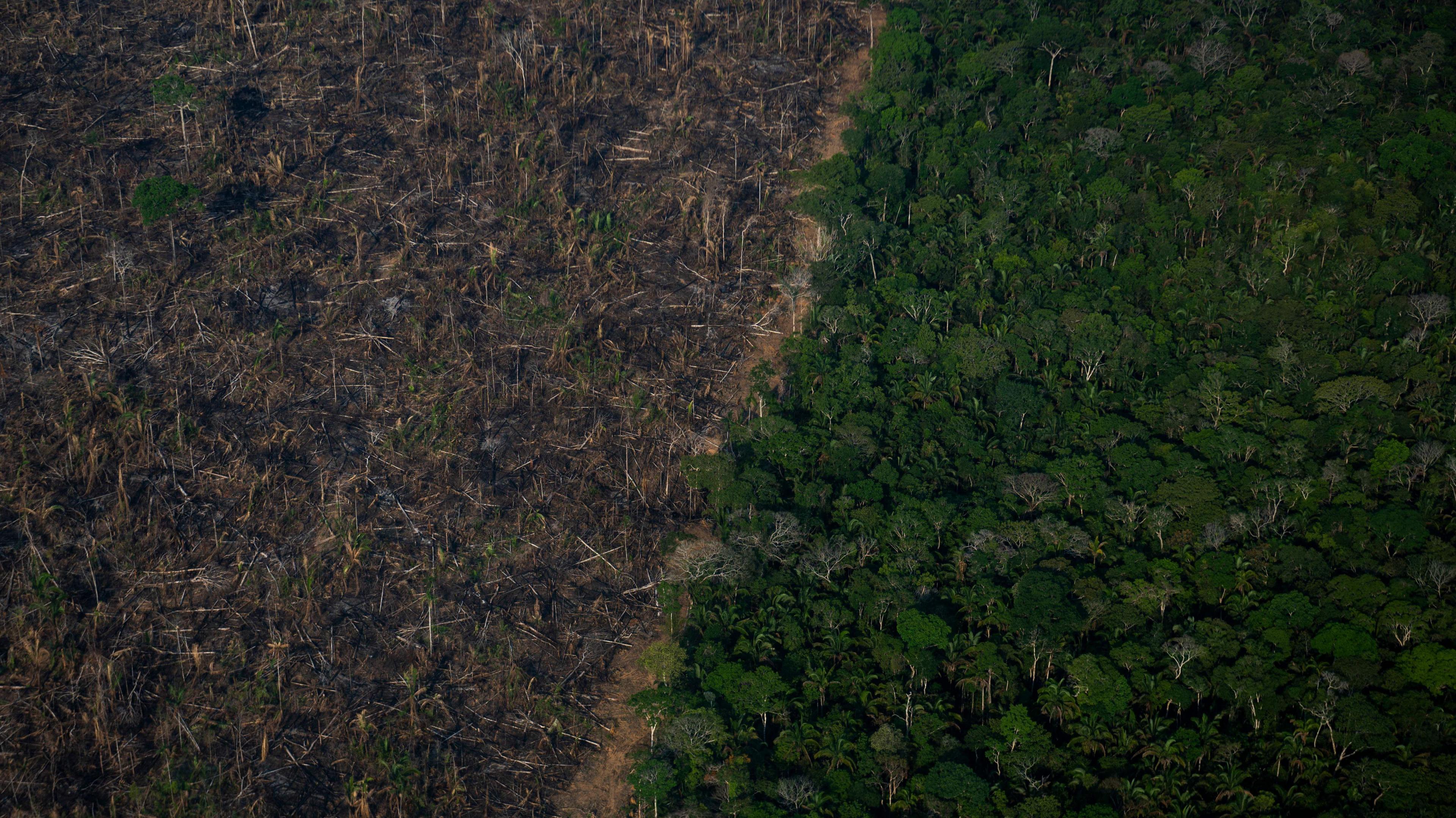 Aerial view showing a deforested area of the Amazonia rainforest 