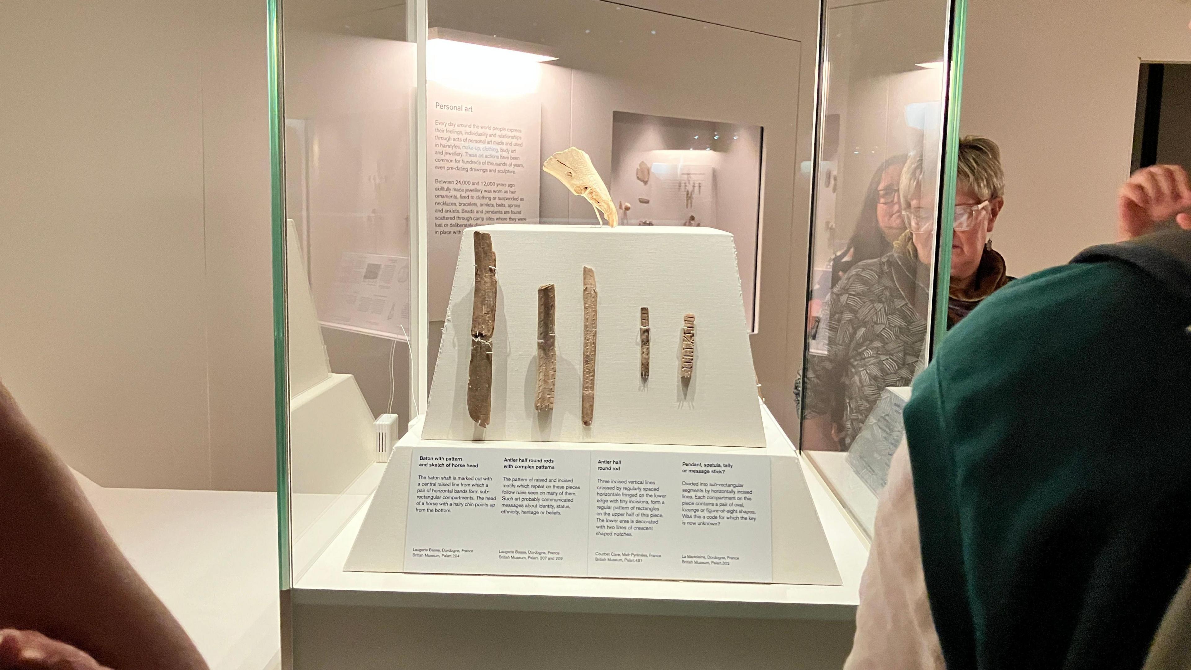 Carved bones in mounted on a white display in a glass case