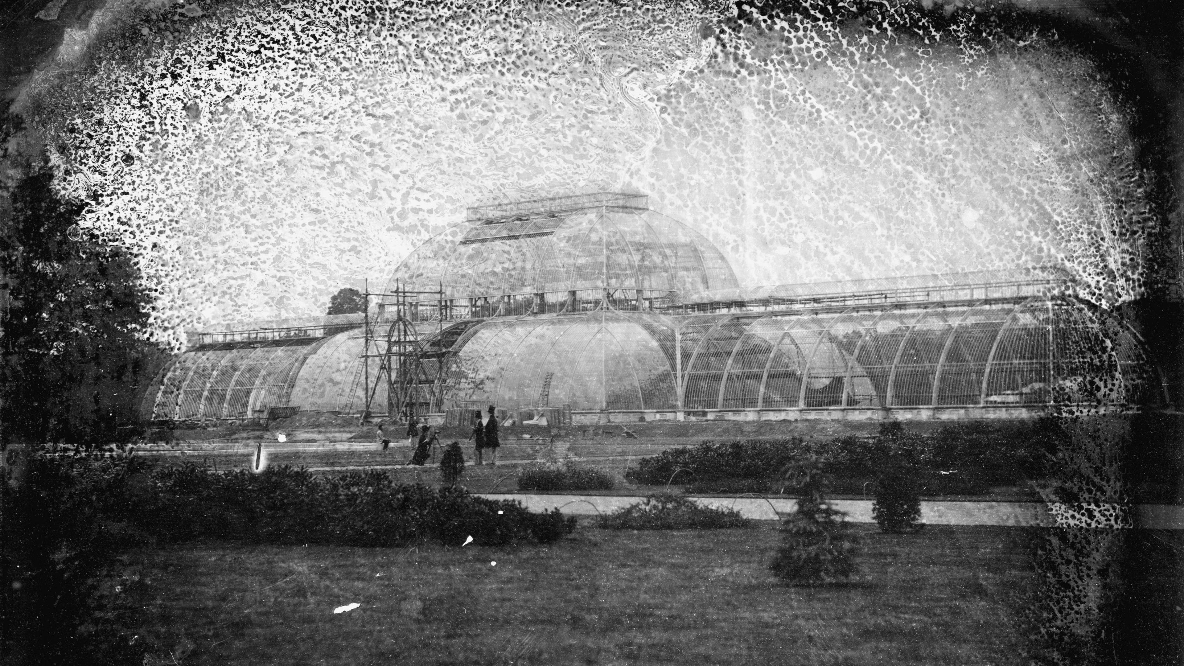 A black and white image of the Palm House, a glass and iron building in Kew Gardens, being constructed which was taken in the 1840s. Scaffolding is running up the building. Men in top hats look on.