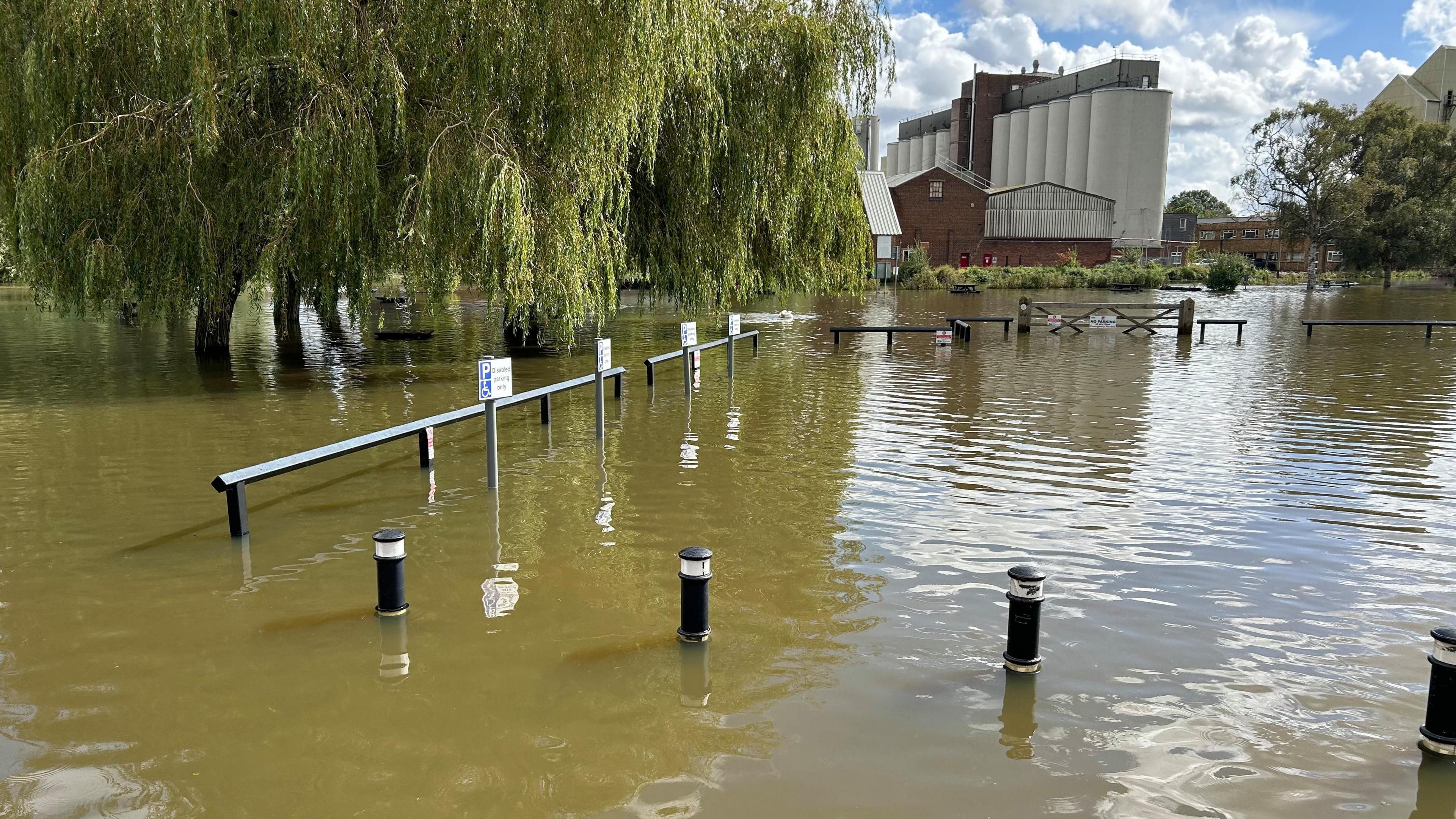 A willow tree surrounded by floodwater in a submerged a car. There are tall industrial-looking silos in the background.