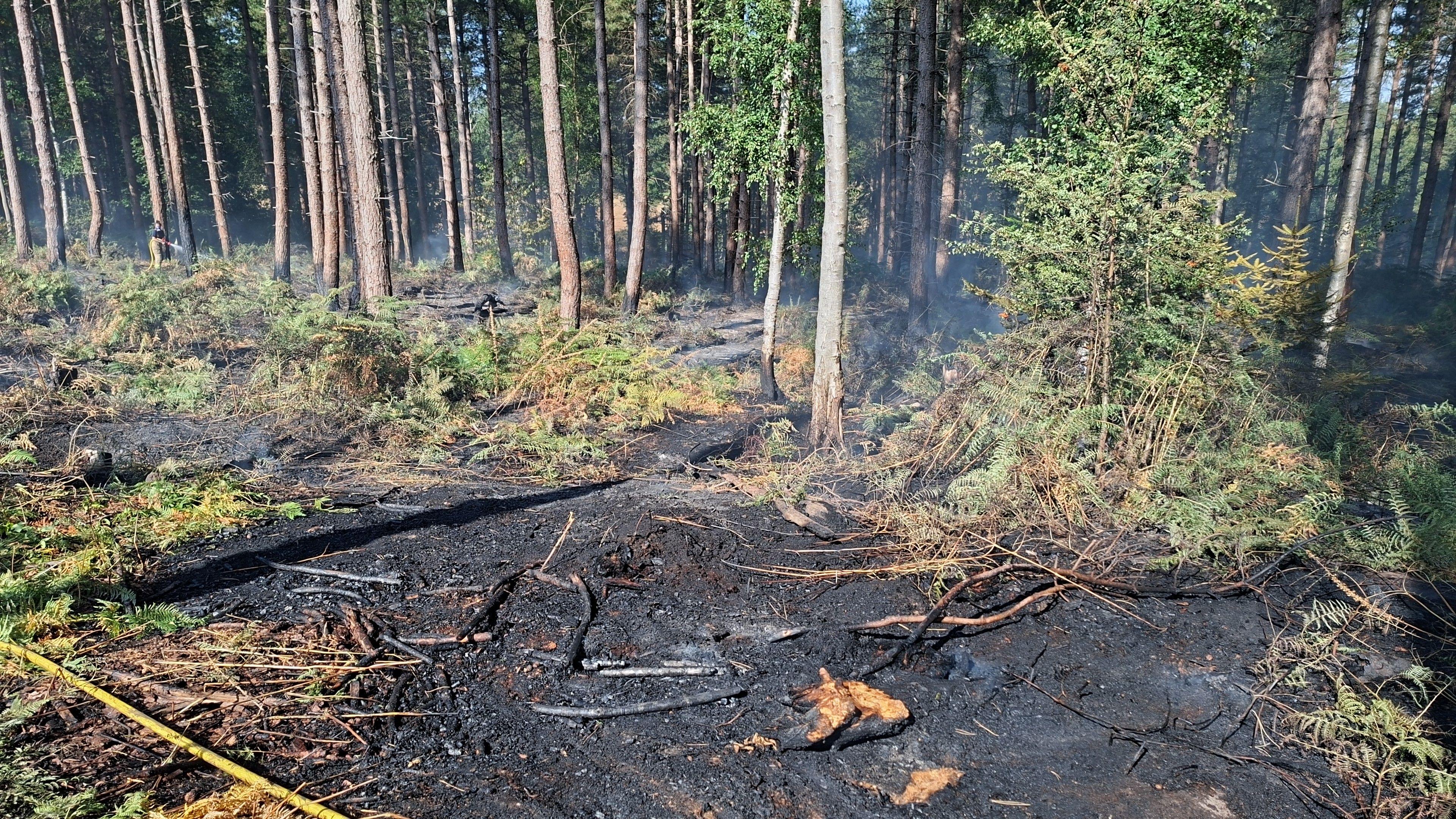 A fire has destroyed about 100 metres (328ft) by 400 metres (1,312ft) at Wood End Lane, in Stanton-by-Bridge, Derbyshire.