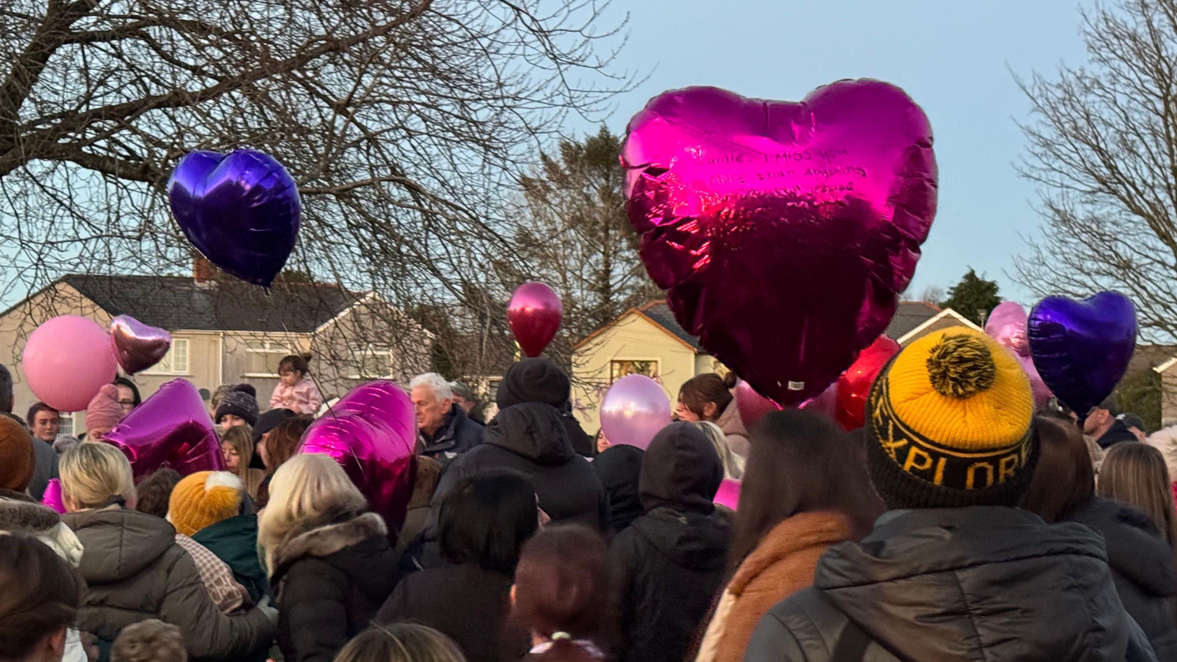 A crowd of people holding pink and blue heart shaped balloons, amongst trees and houses. The people in the crowd are hearing winter coats and many have hats on.