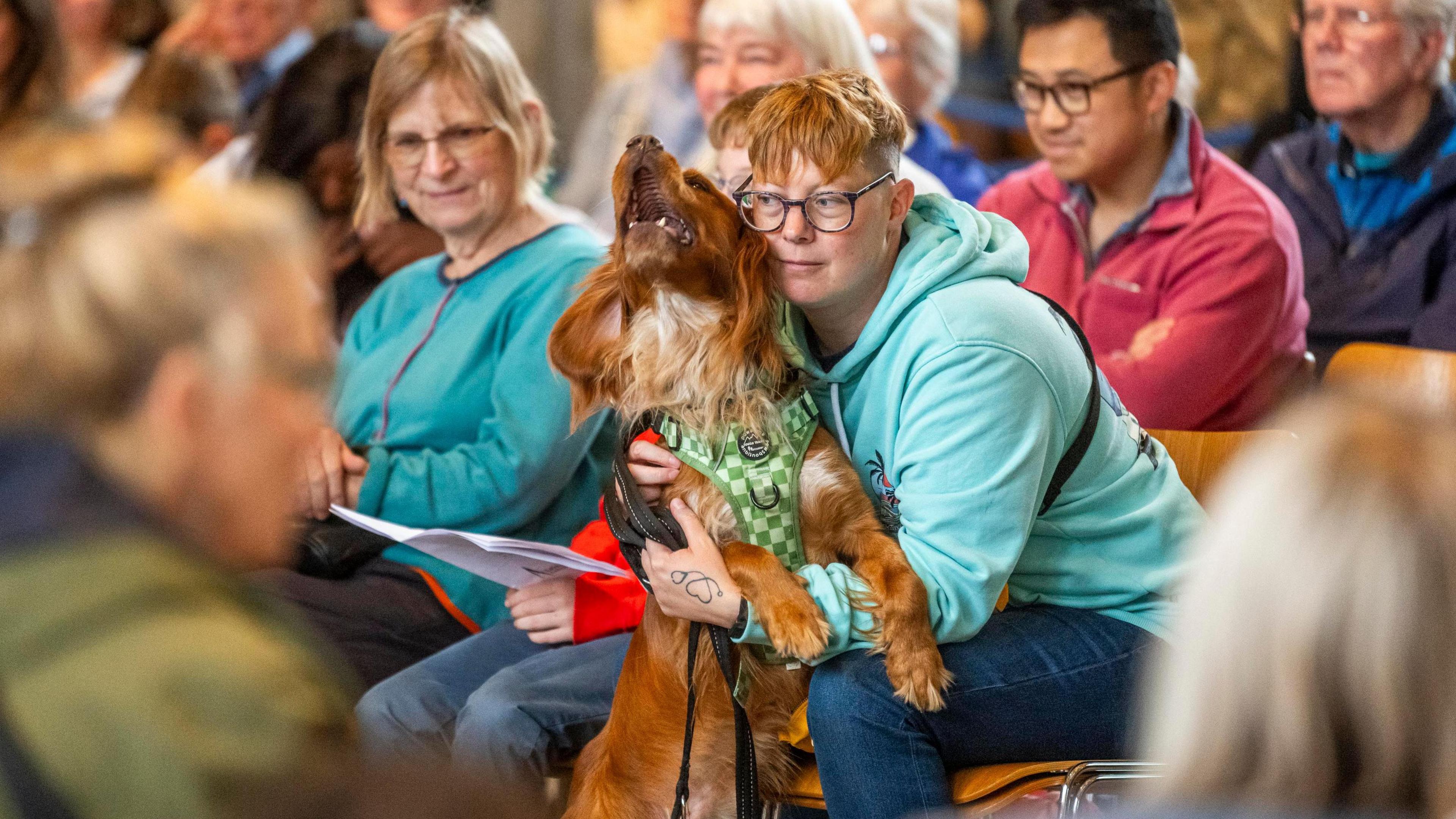 A cocker spaniel wearing a green and white checkerboard harness jumps into the arms of a woman with short ginger hair and glasses at a cathedral service.