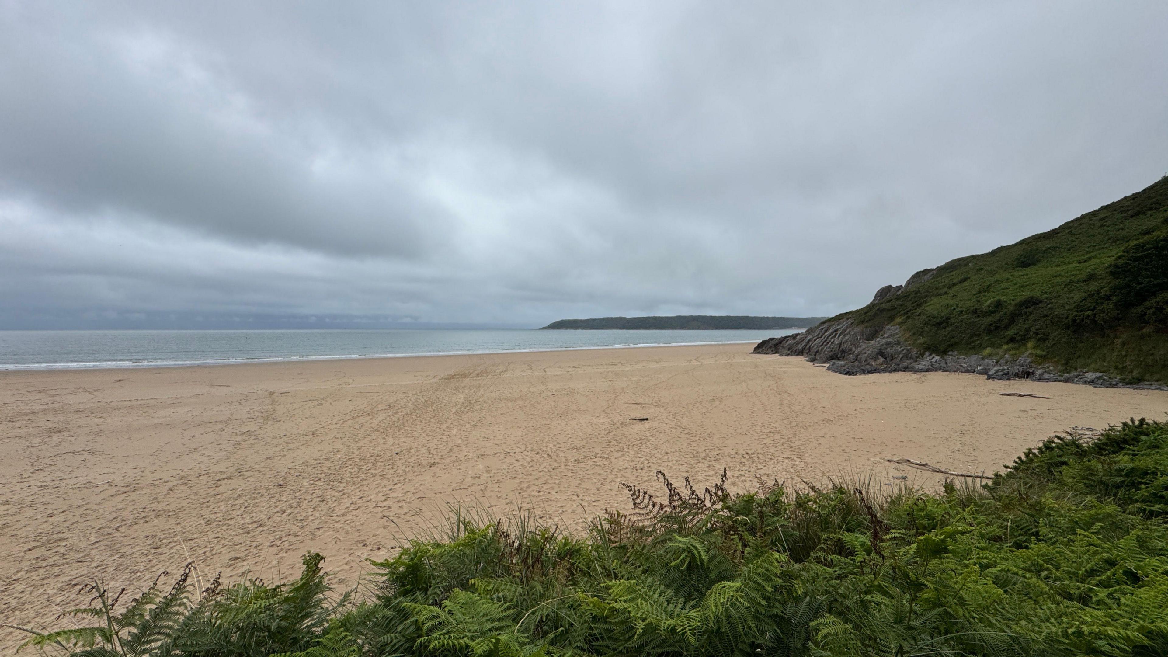 A sandy beach and in the background there is the sea. It is a grey day and in the foreground there is some green shrubbery.