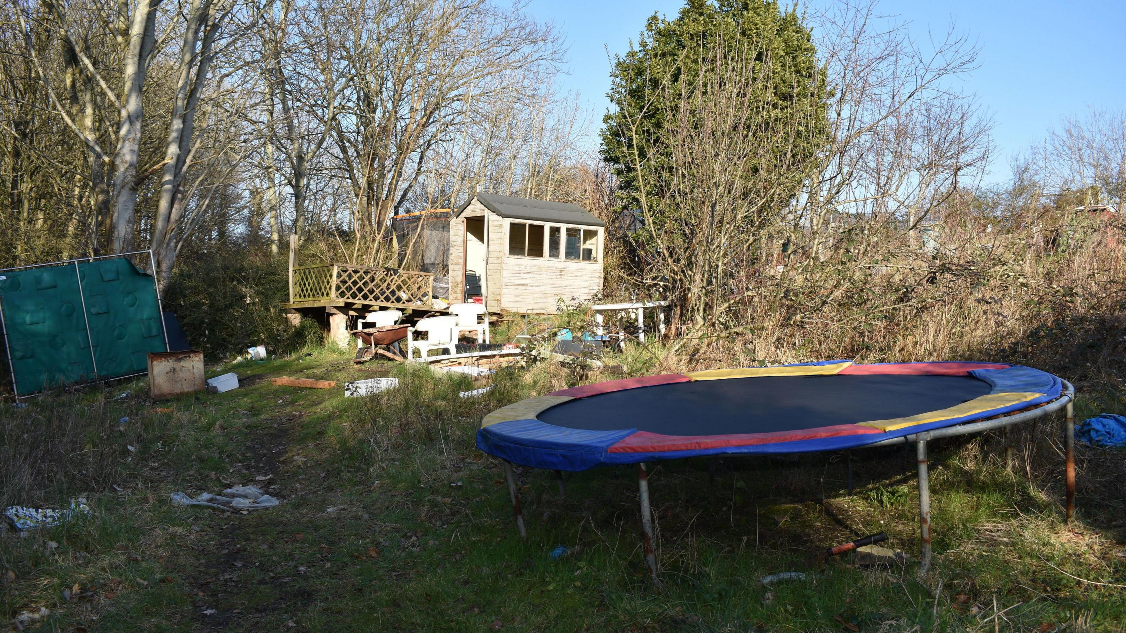 A wooden shed in a litter strewn and overgrown allotment, with a circular trampoline in the foreground. 